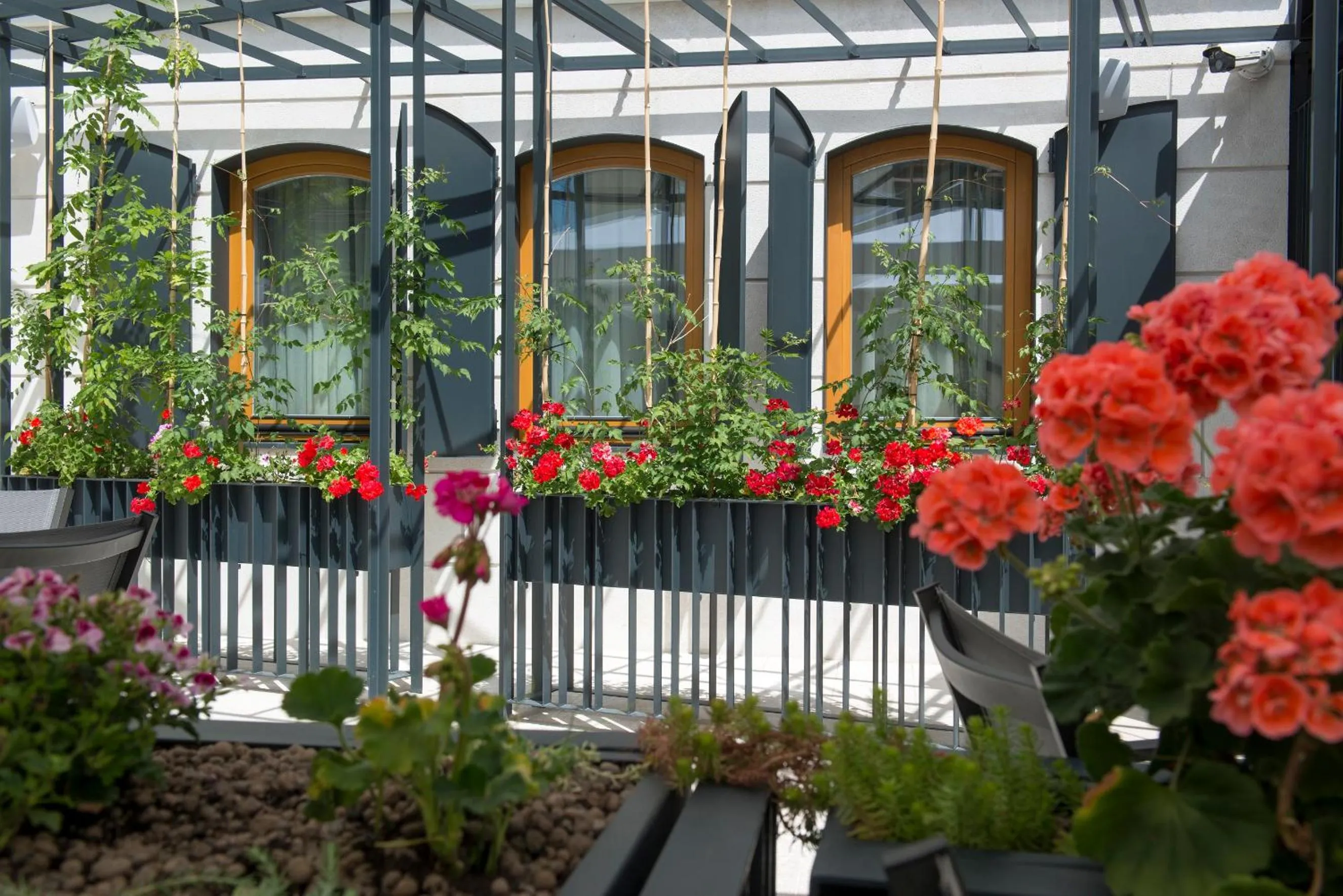 Balcony/Terrace in Hotel Sana