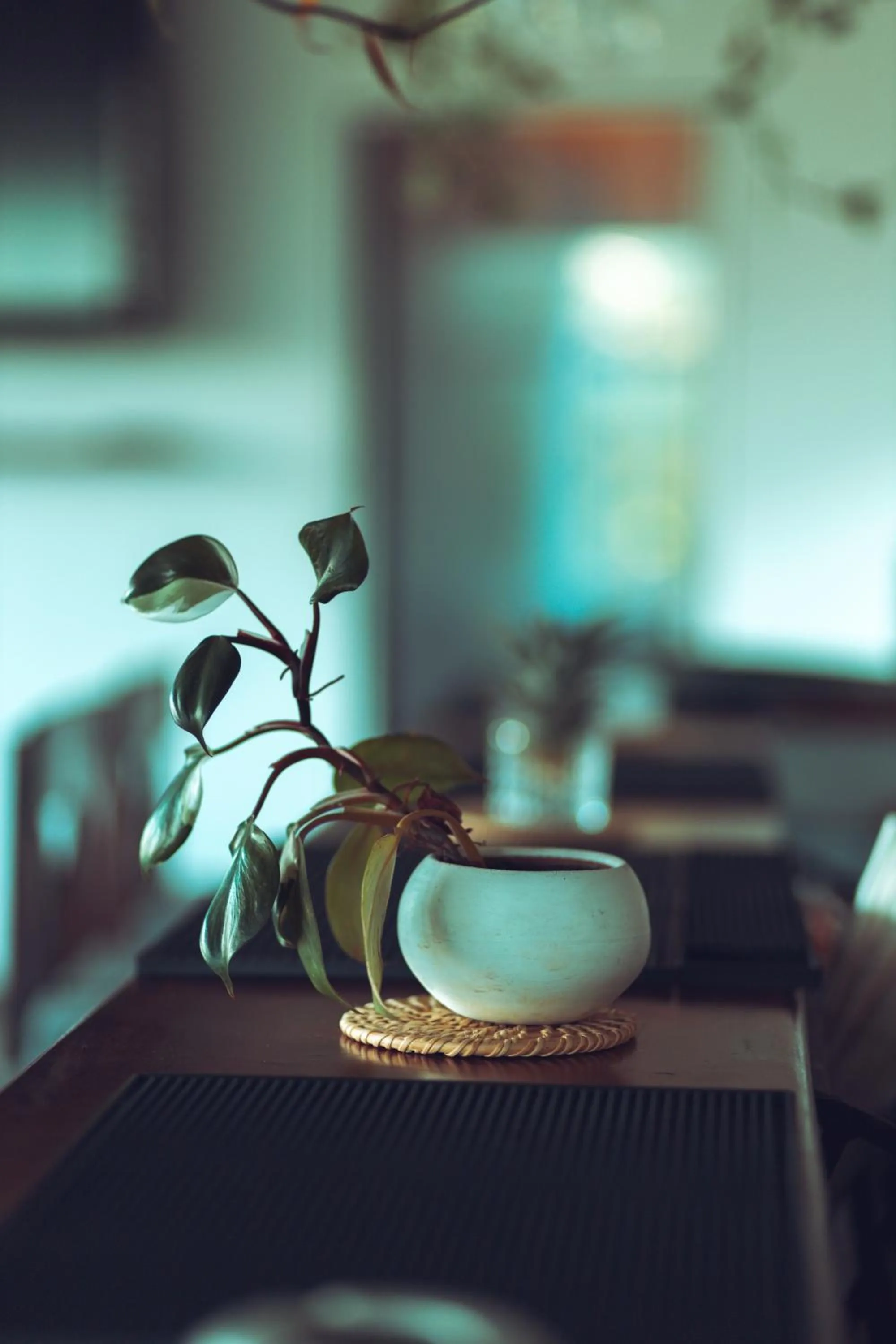 Dining area in Ella Soul Resort