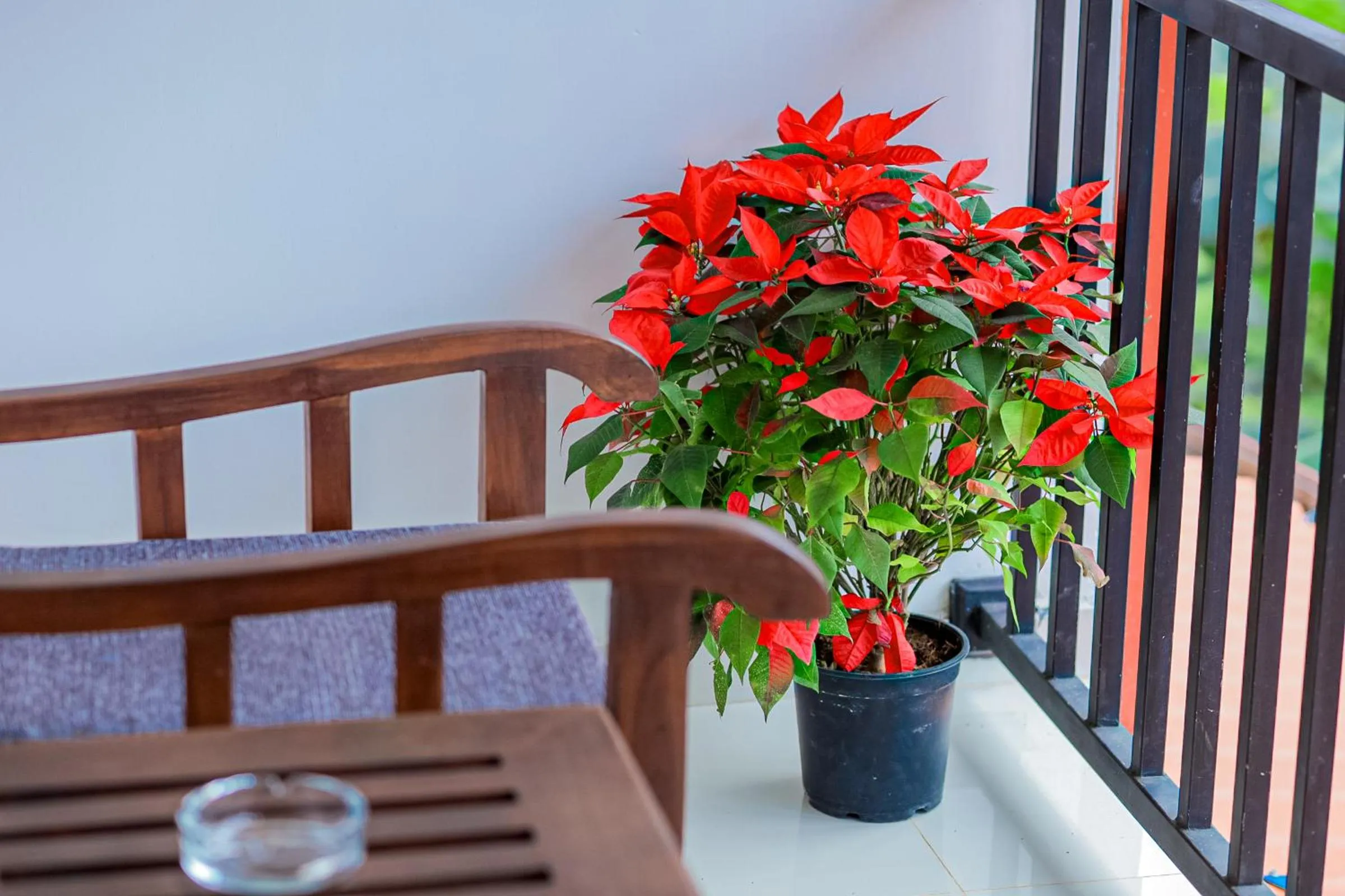 Balcony/Terrace in Ella Soul Resort