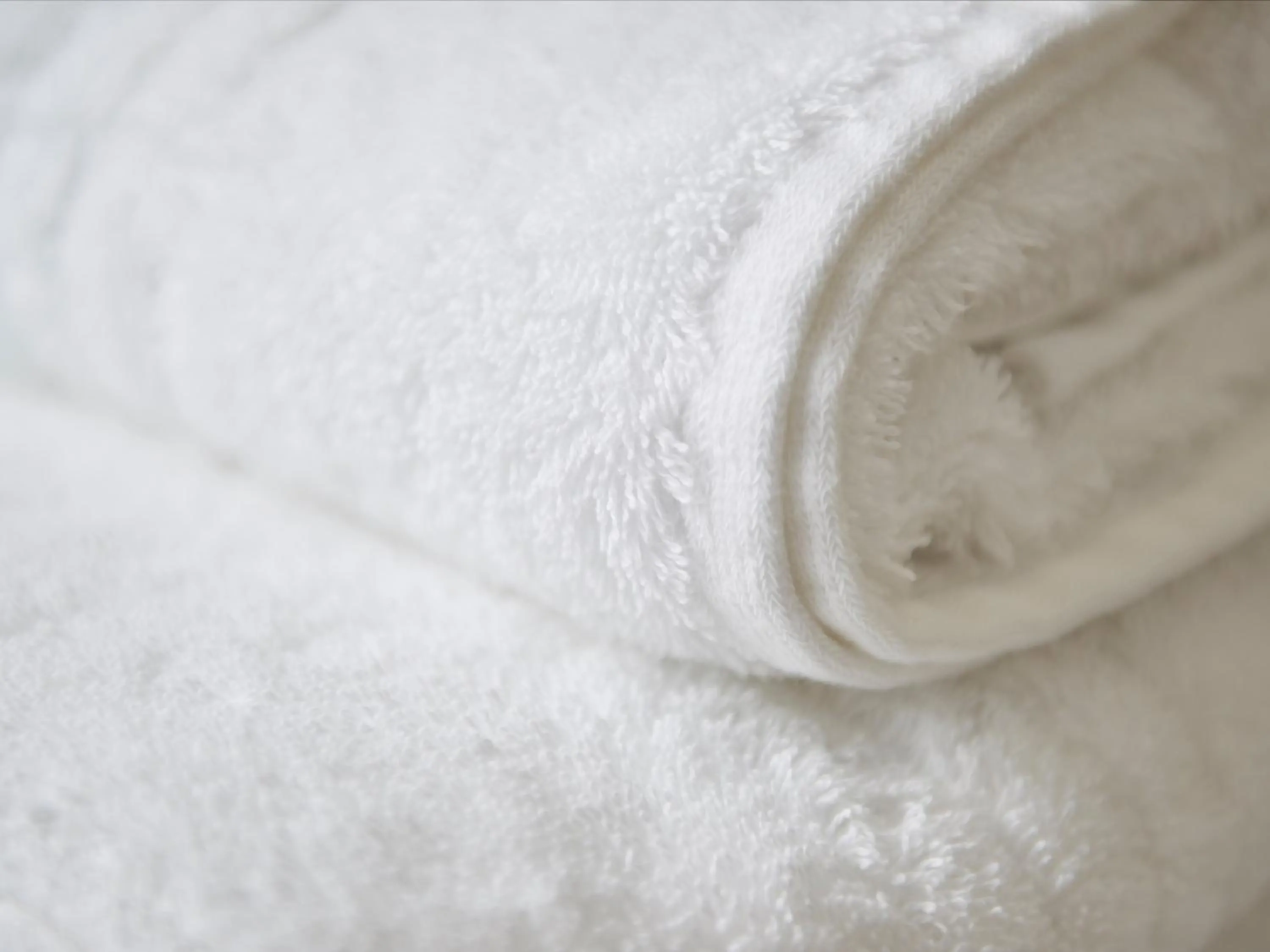 towels in Apartment Bloc