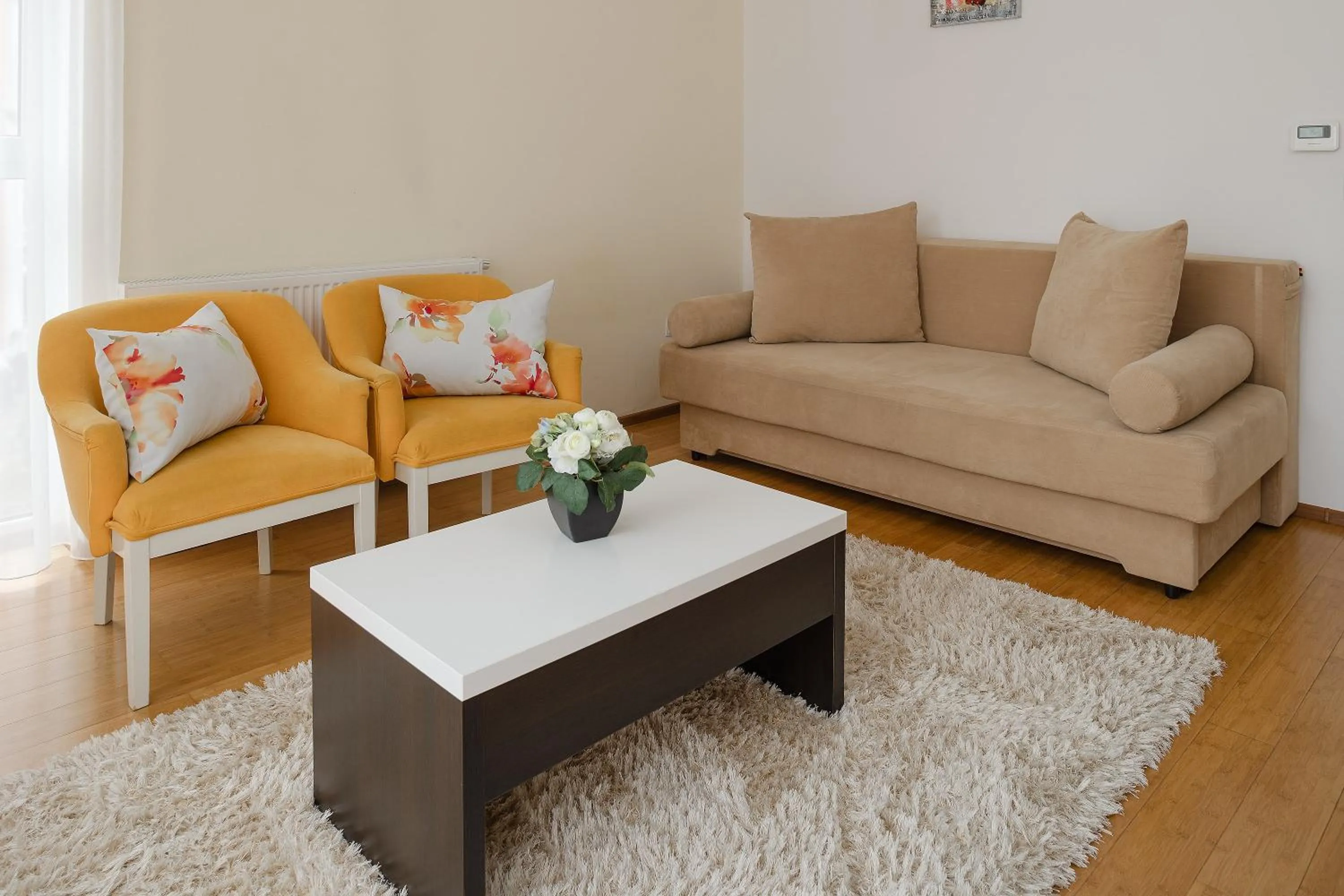 Living room in Brasov Holiday Apartments