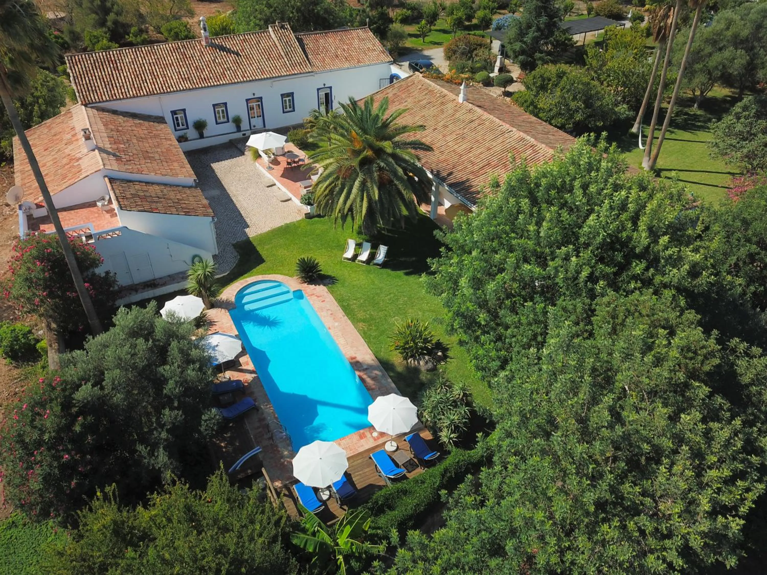 Quinta Quinze