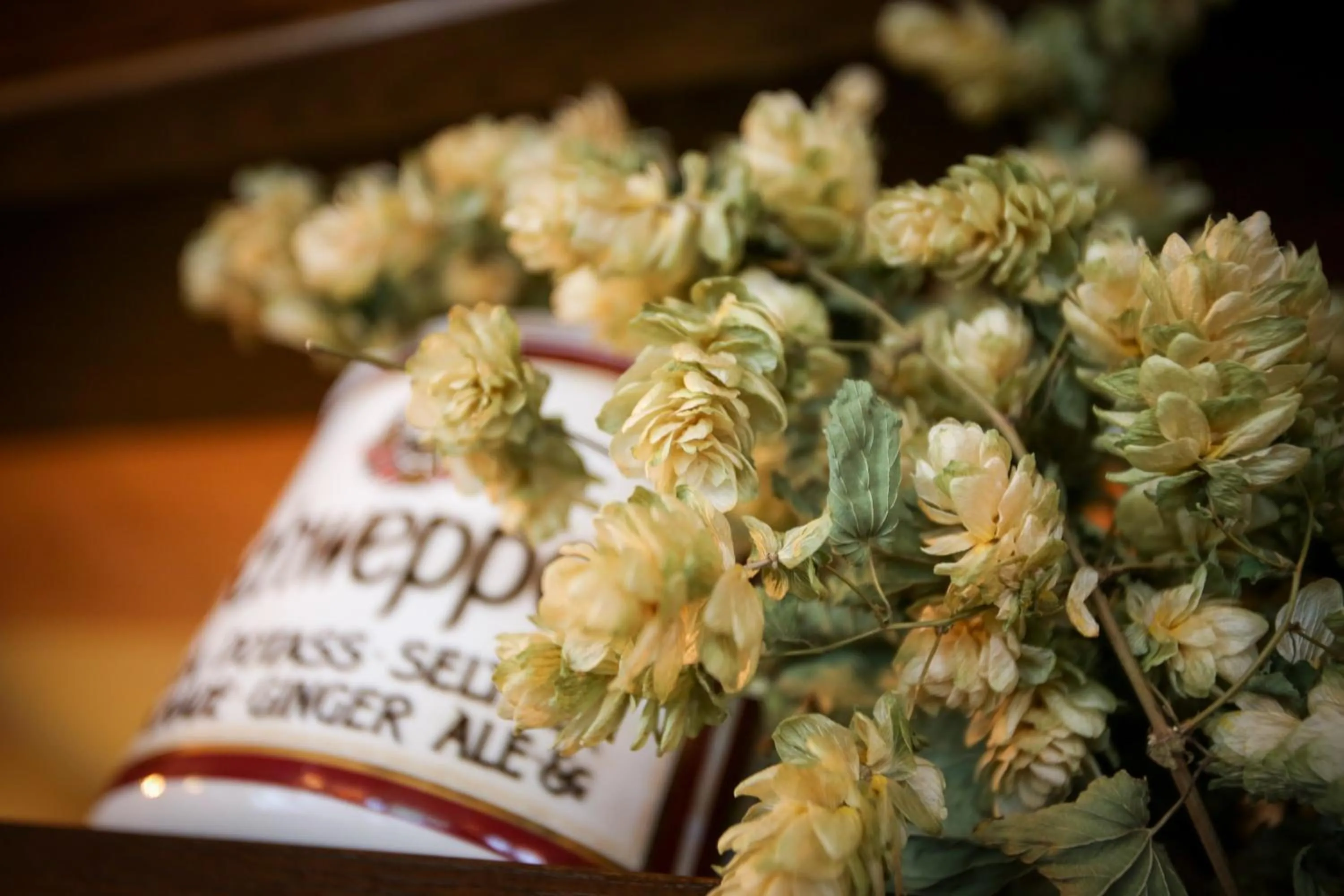 Food and drinks in The Lindisfarne Inn - The Inn Collection Group