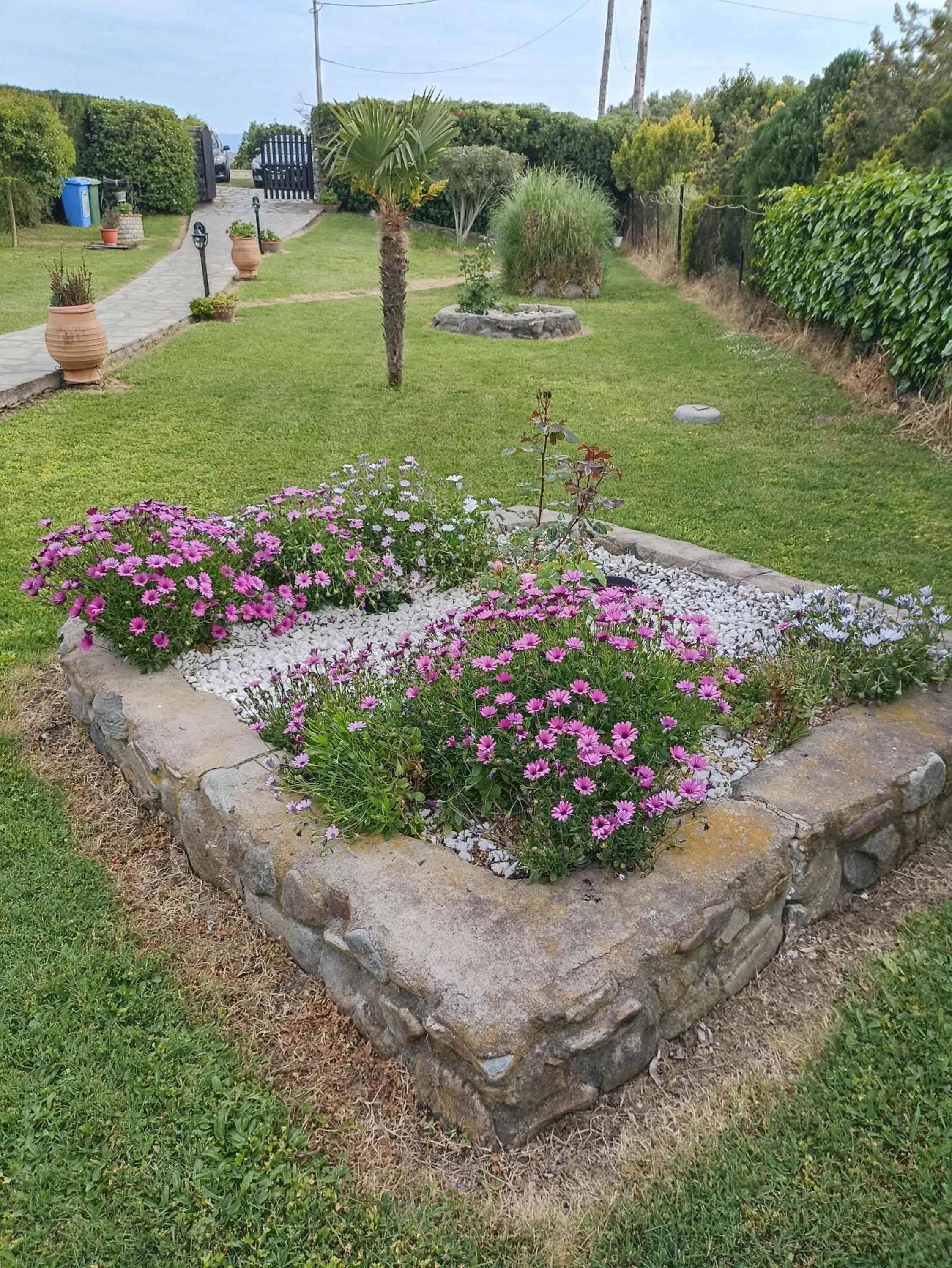 Garden in Studios Tripiti