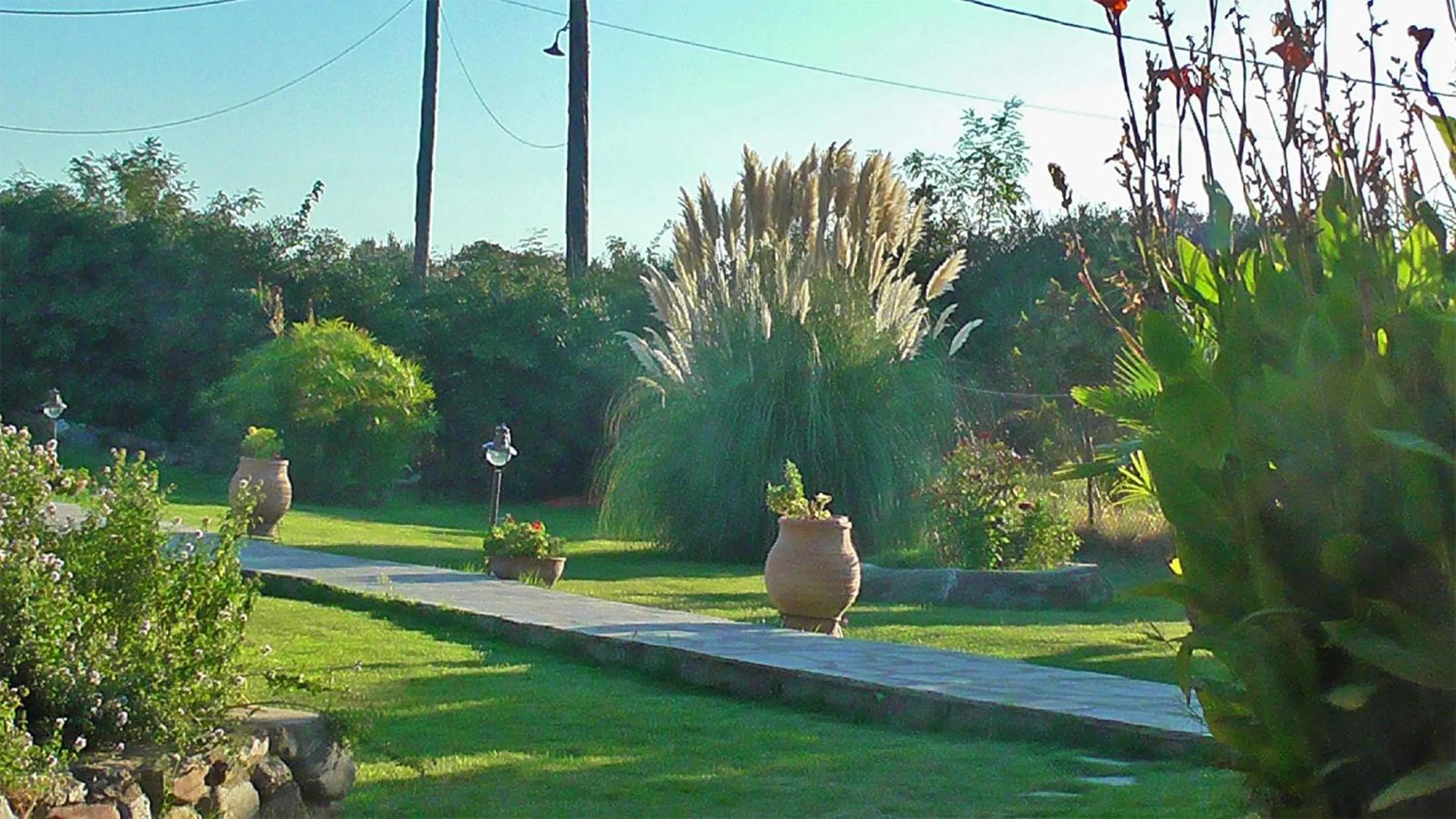 Garden in Studios Tripiti