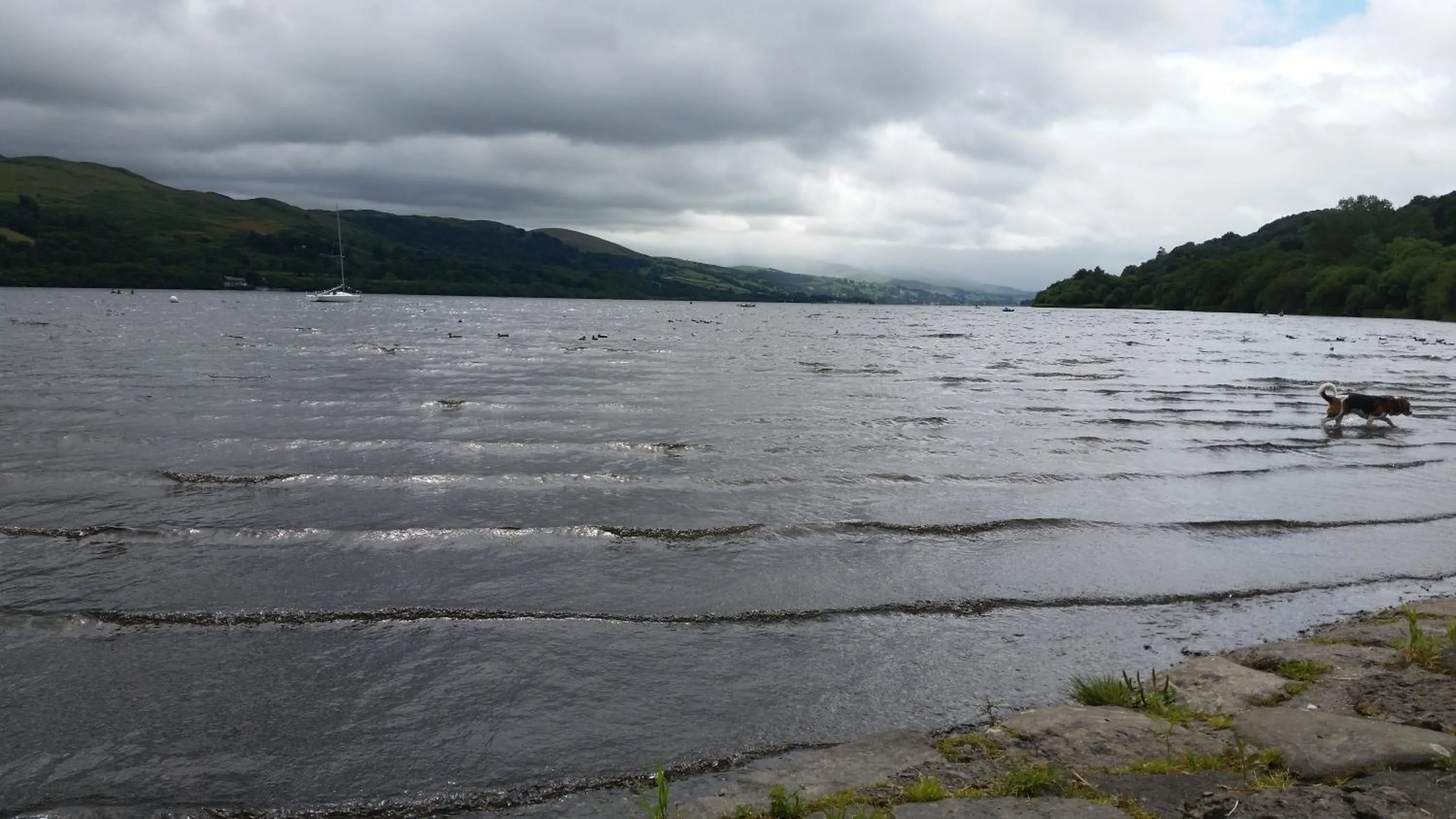 Pisgah Guesthouse Snowdonia