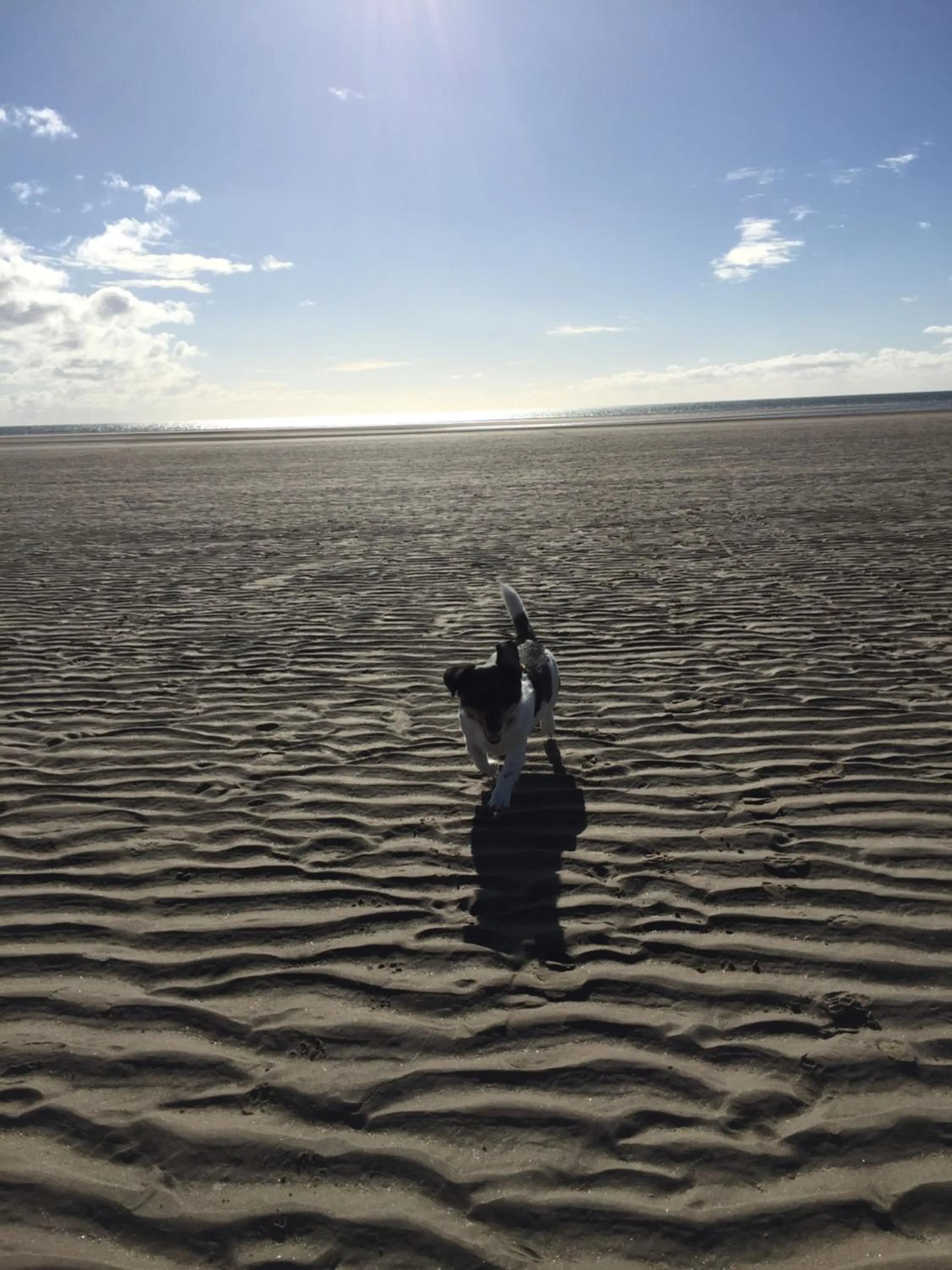 Pisgah Guesthouse Snowdonia