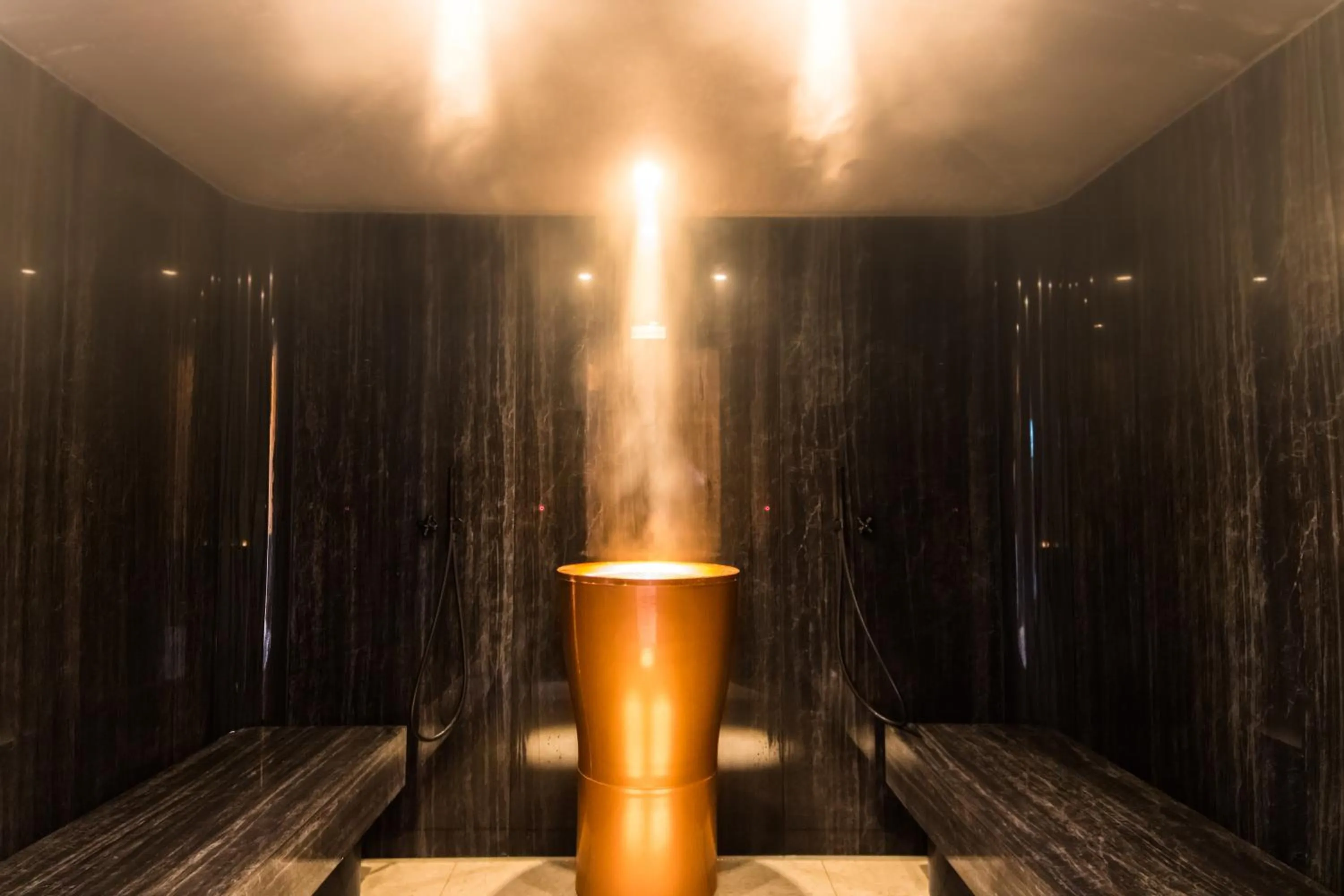 Spa and wellness centre/facilities in Hotel Sanglier