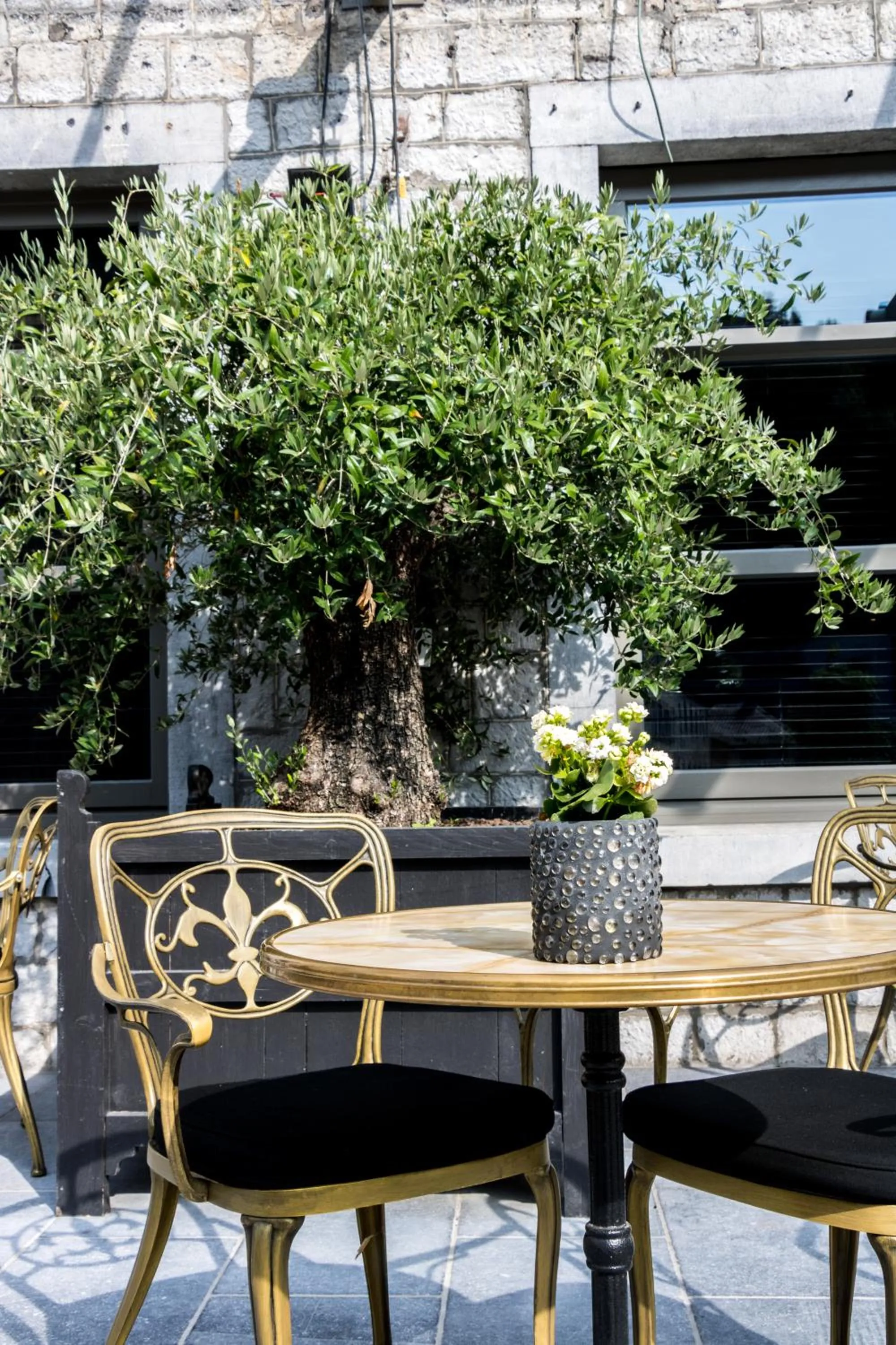 Balcony/Terrace in Hotel Sanglier