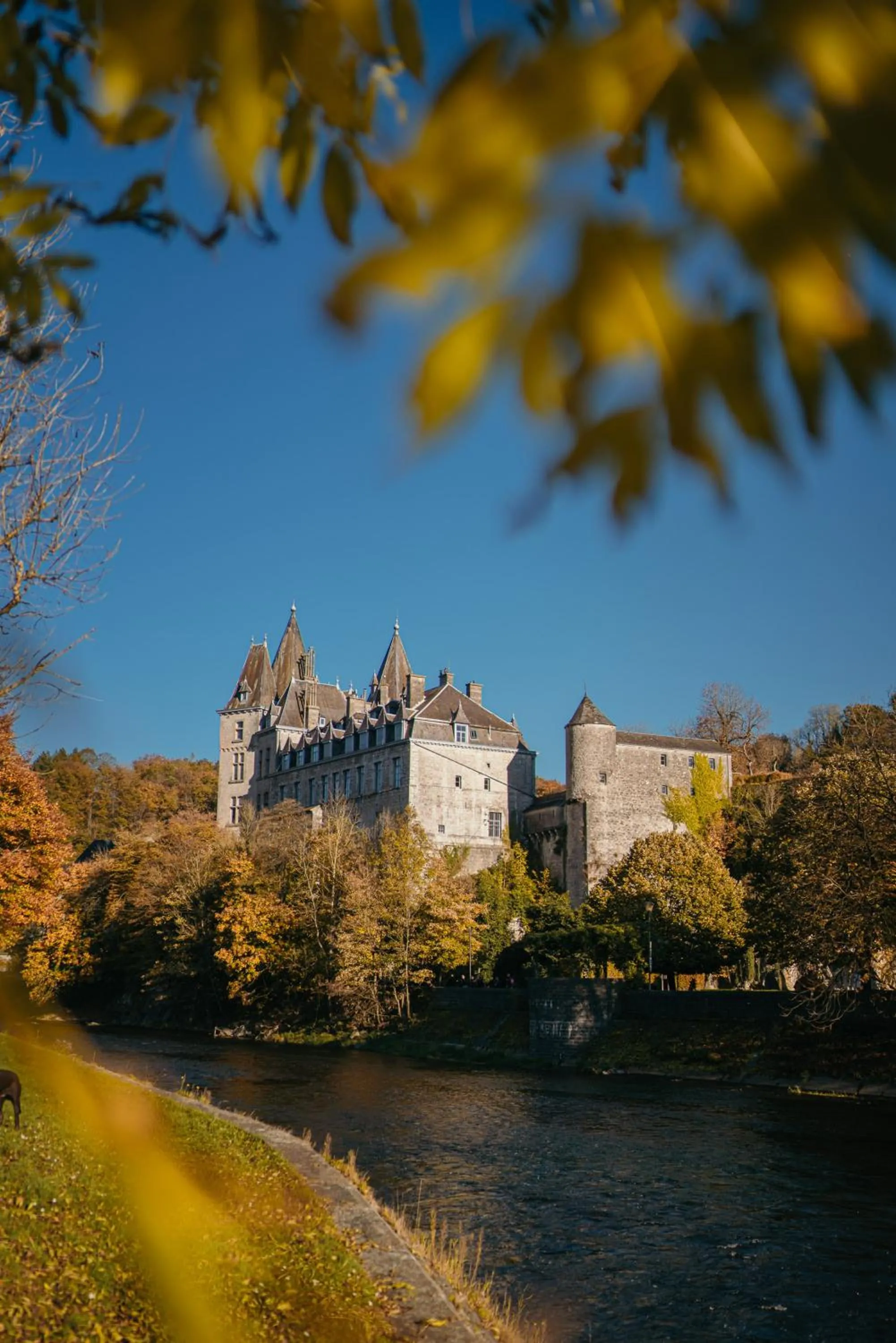 Nearby landmark in Hôtel Le Sanglier des Ardennes