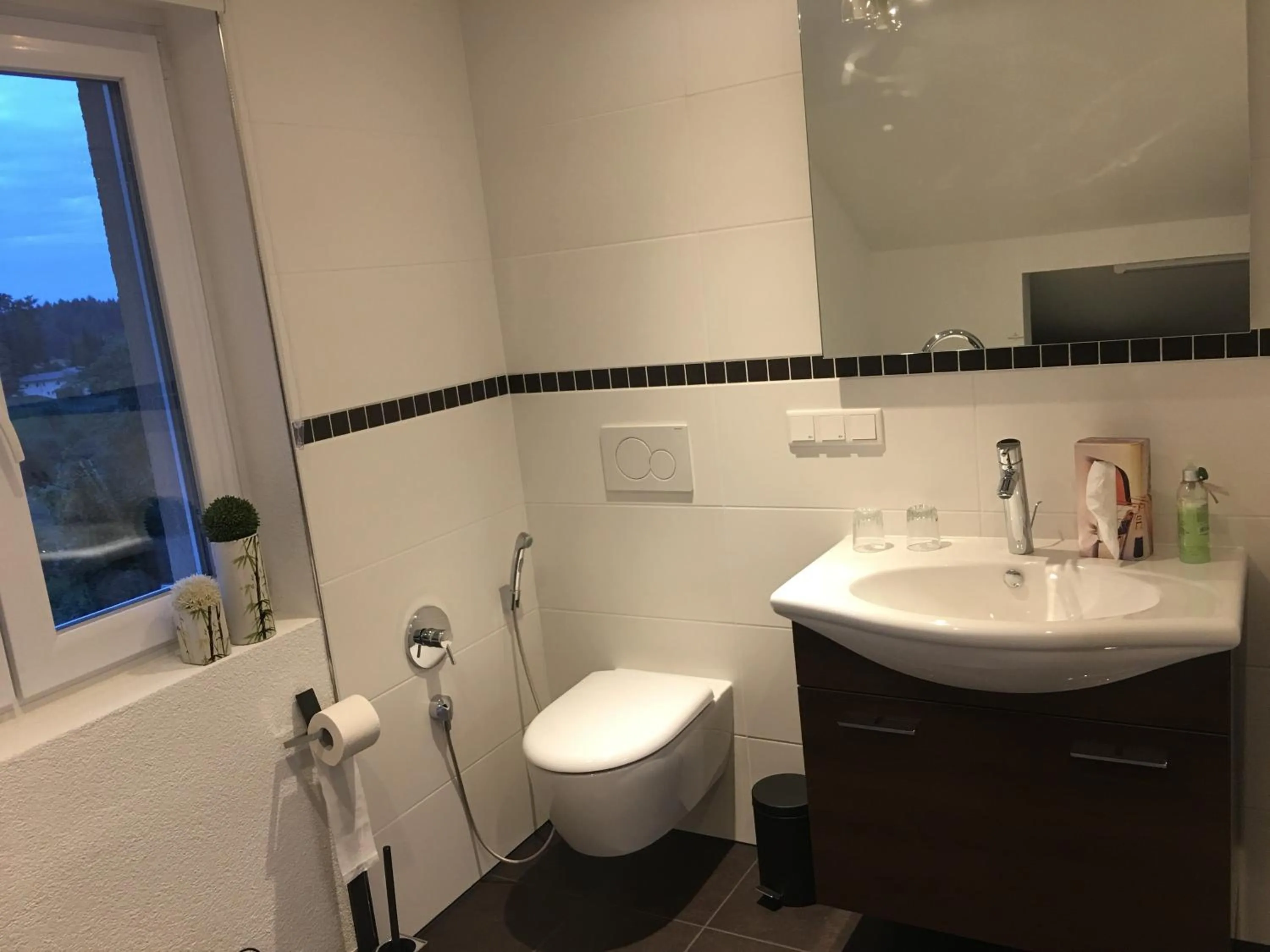 Toilet in Business Appartements