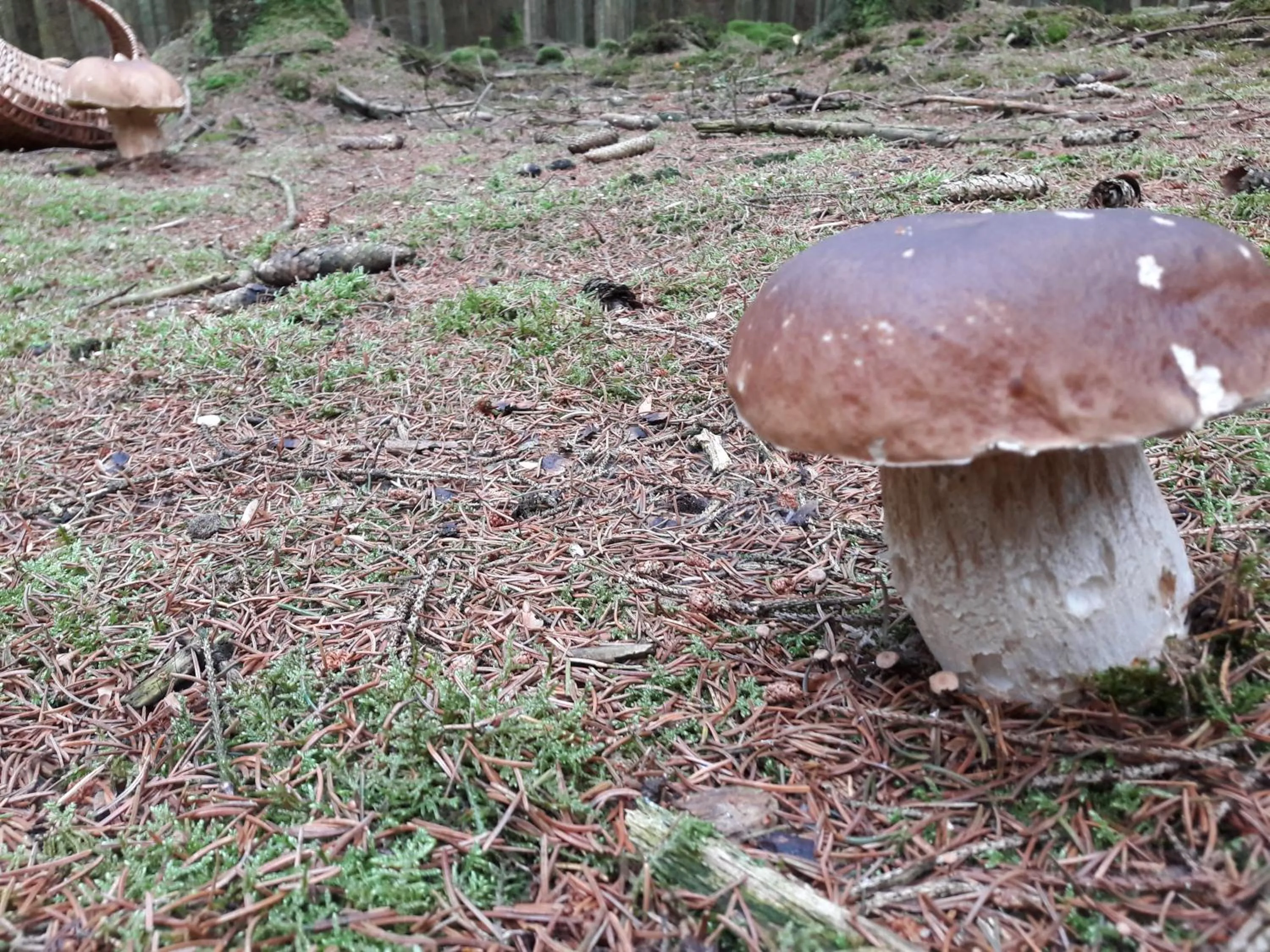 Breakfast in Hotel Beau Rivage and Restaurant Koulic