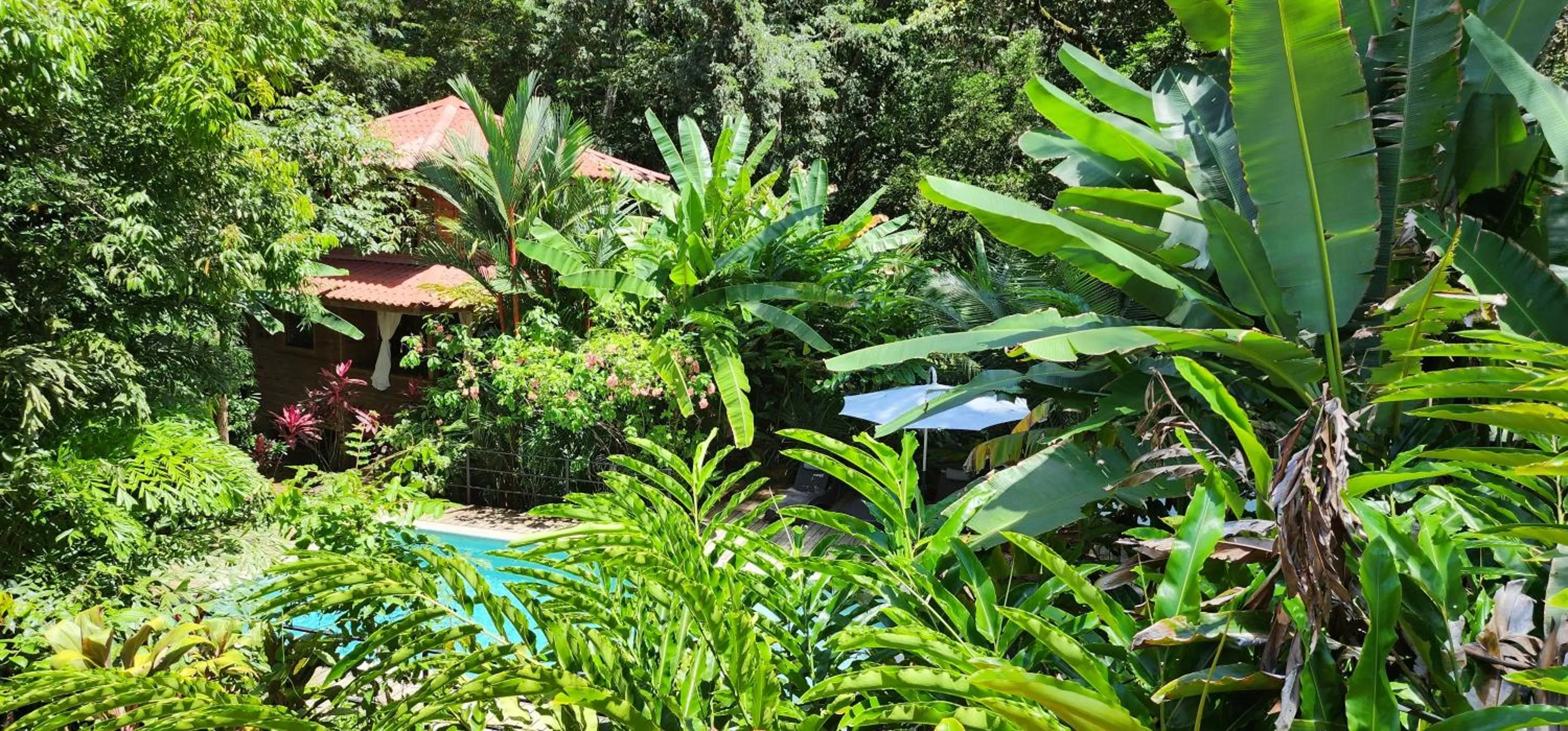 Pool view in Boutique Hotel y Spa Tangara Azul