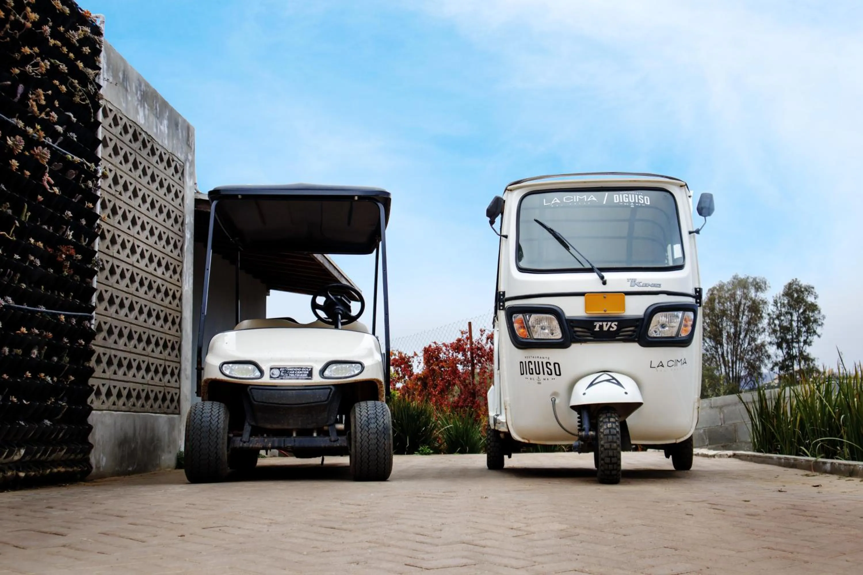 Communal lounge/ TV room in La Cima del Valle
