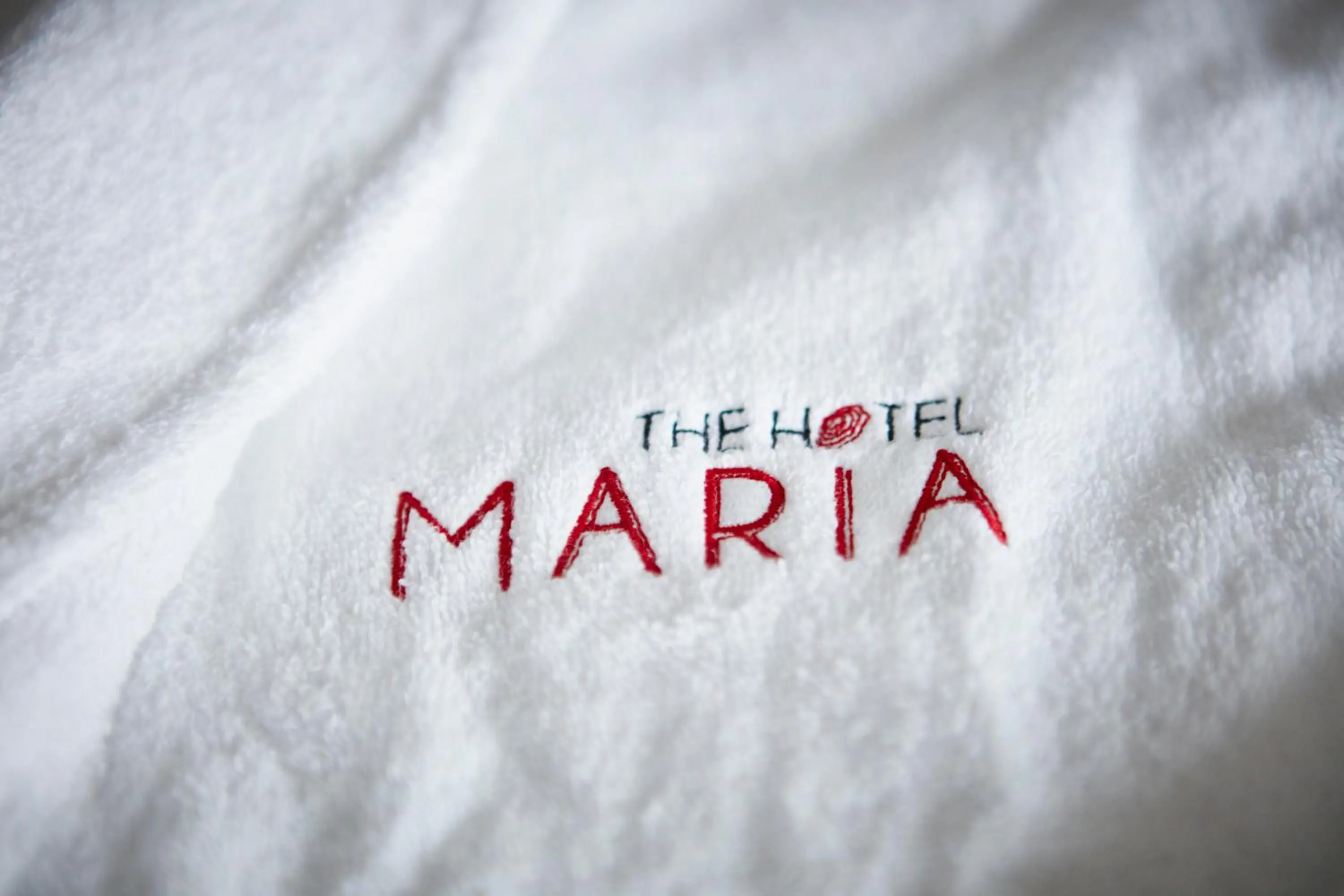 Decorative detail in The Hotel Maria