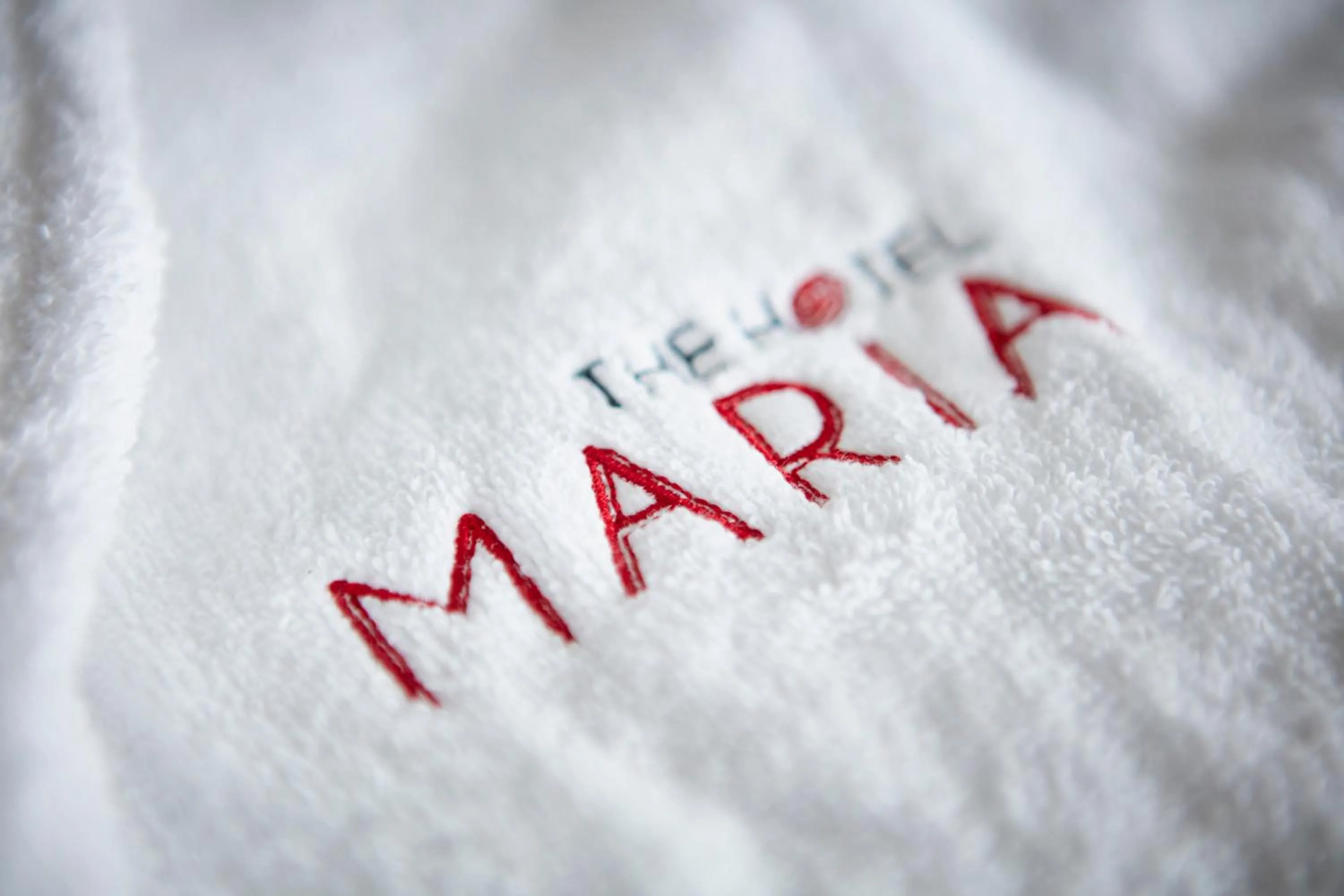 Decorative detail in The Hotel Maria