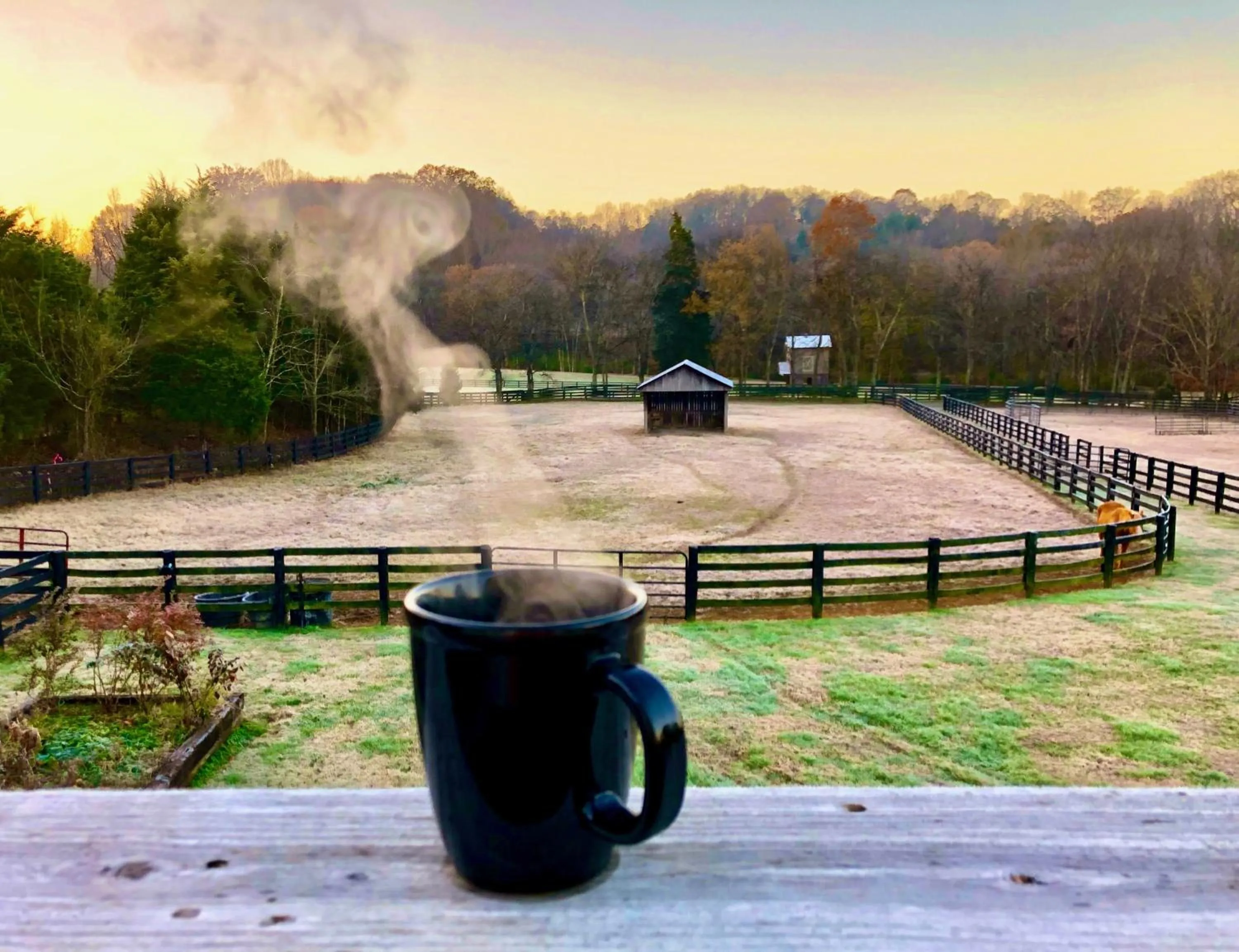 Full Circle Farm Inn