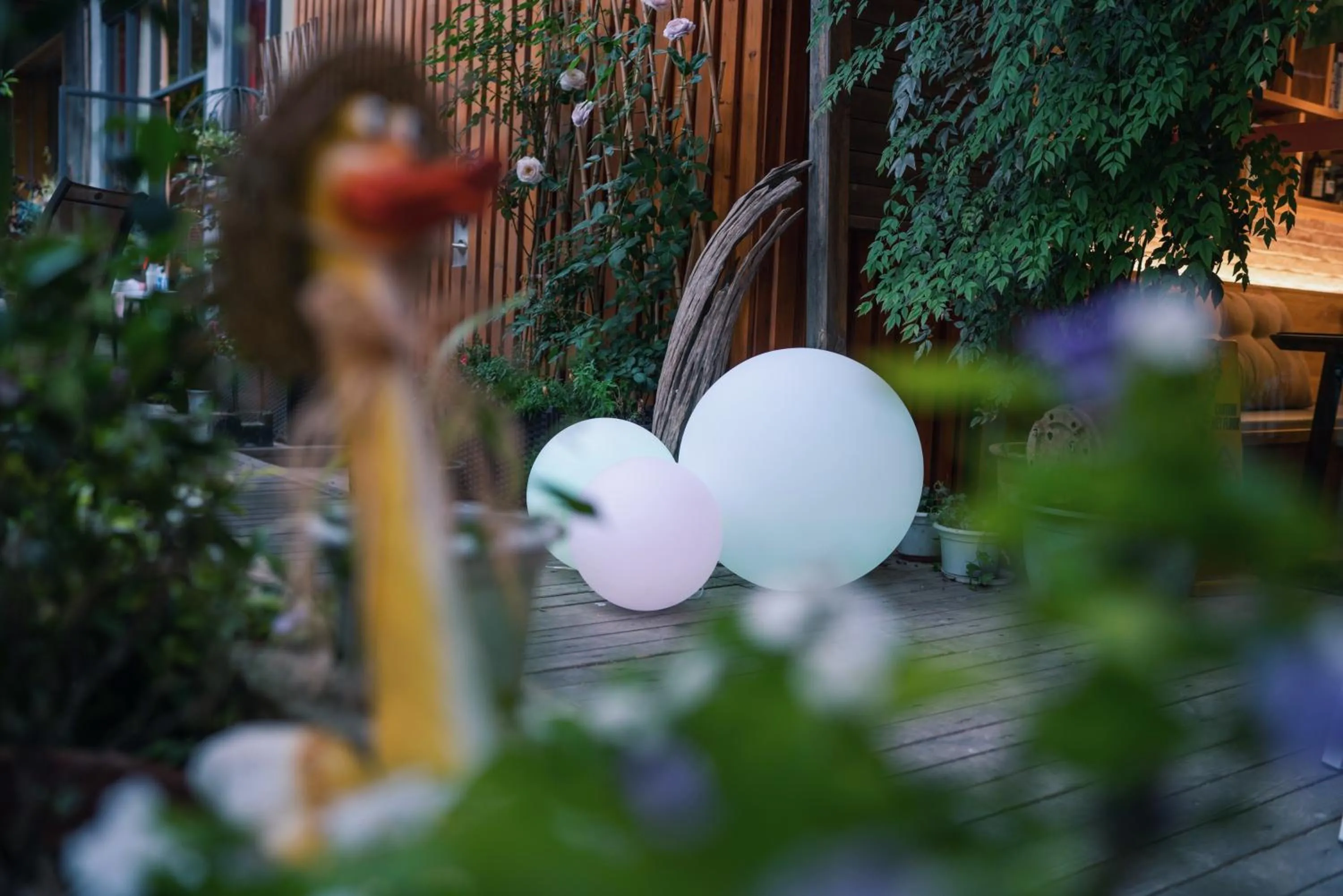 Garden in Ancient Street No.5 Youth Chic Hotel