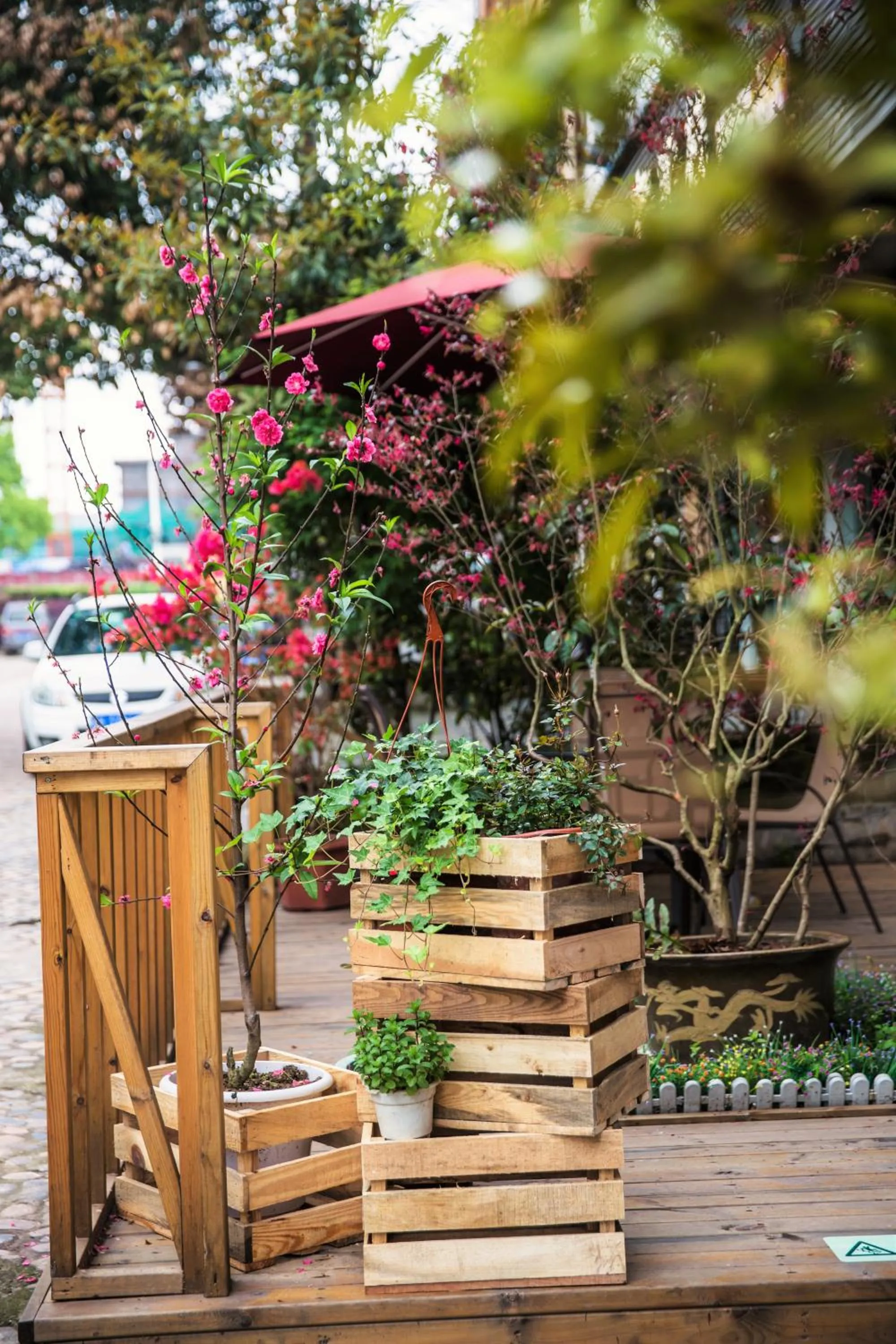 Garden view in Ancient Street No.5 Youth Chic Hotel