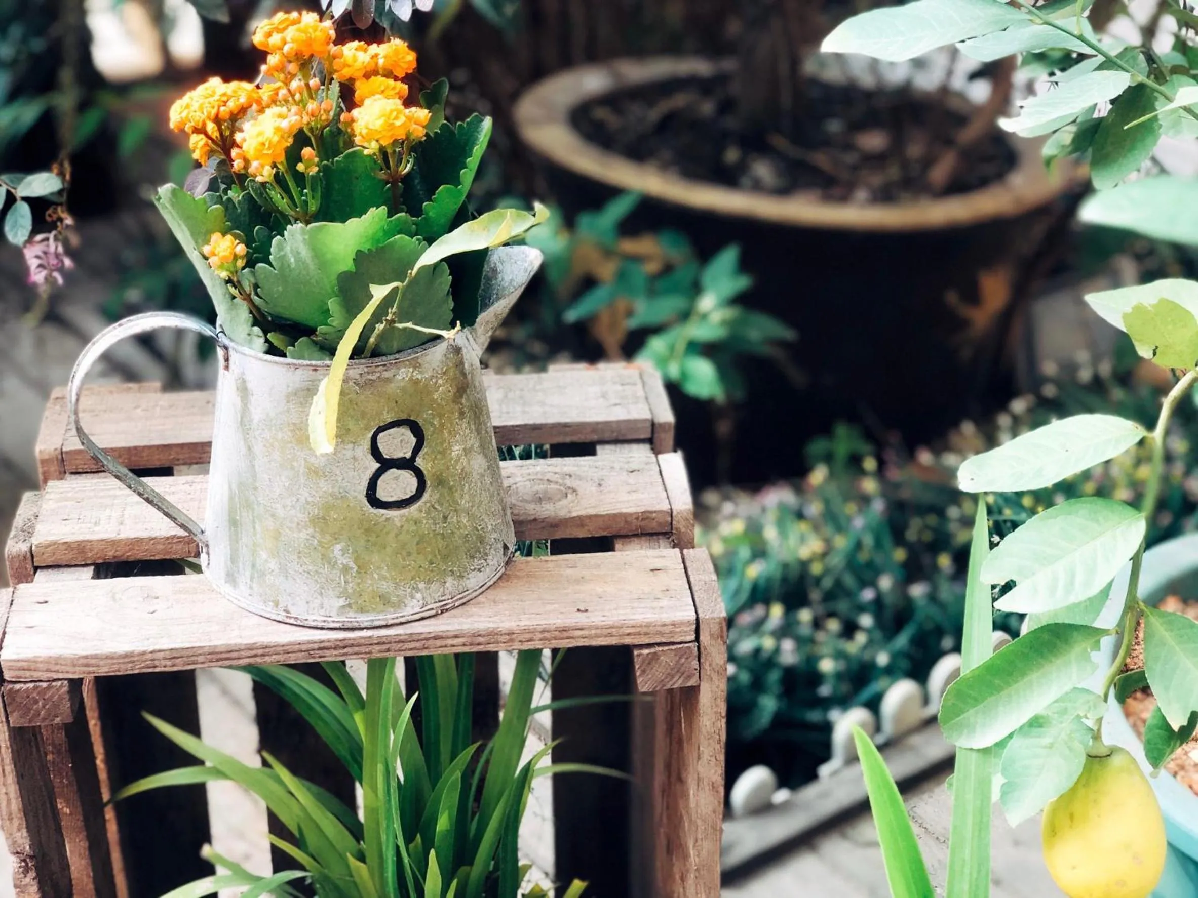 Ancient Street No.5 Youth Chic Hotel