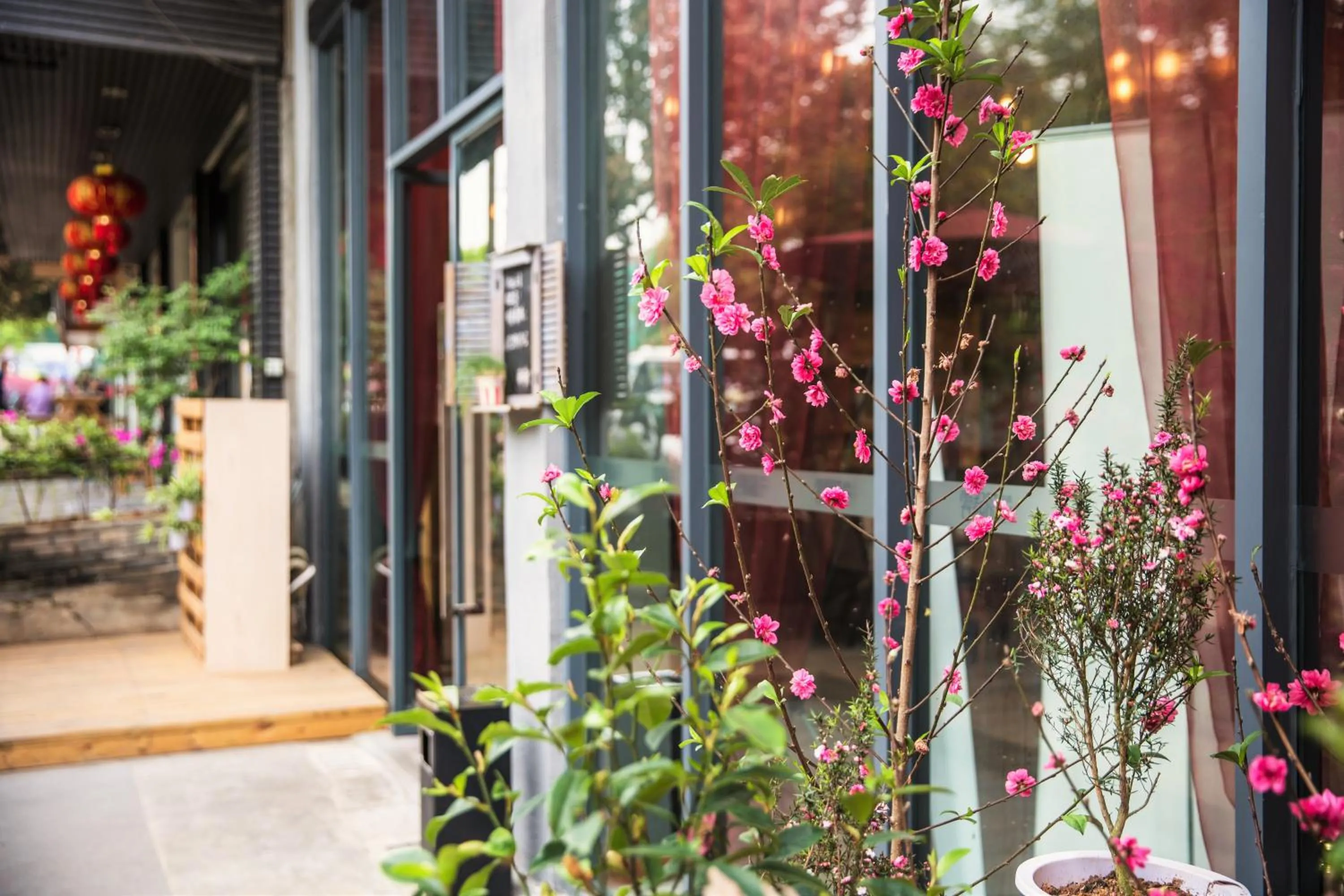 Facade/entrance in Ancient Street No.5 Youth Chic Hotel