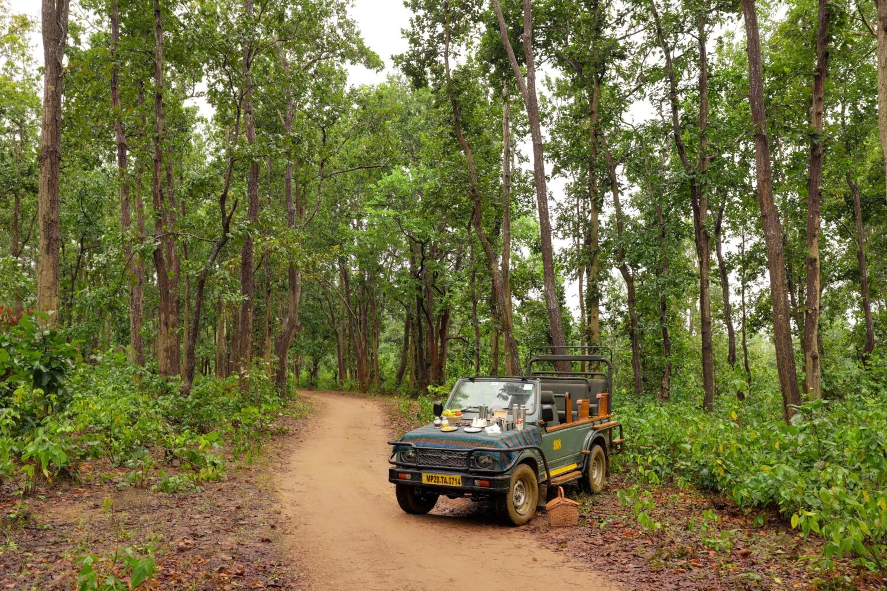 Activities in Lemon Tree Wildlife Resort, Kanha