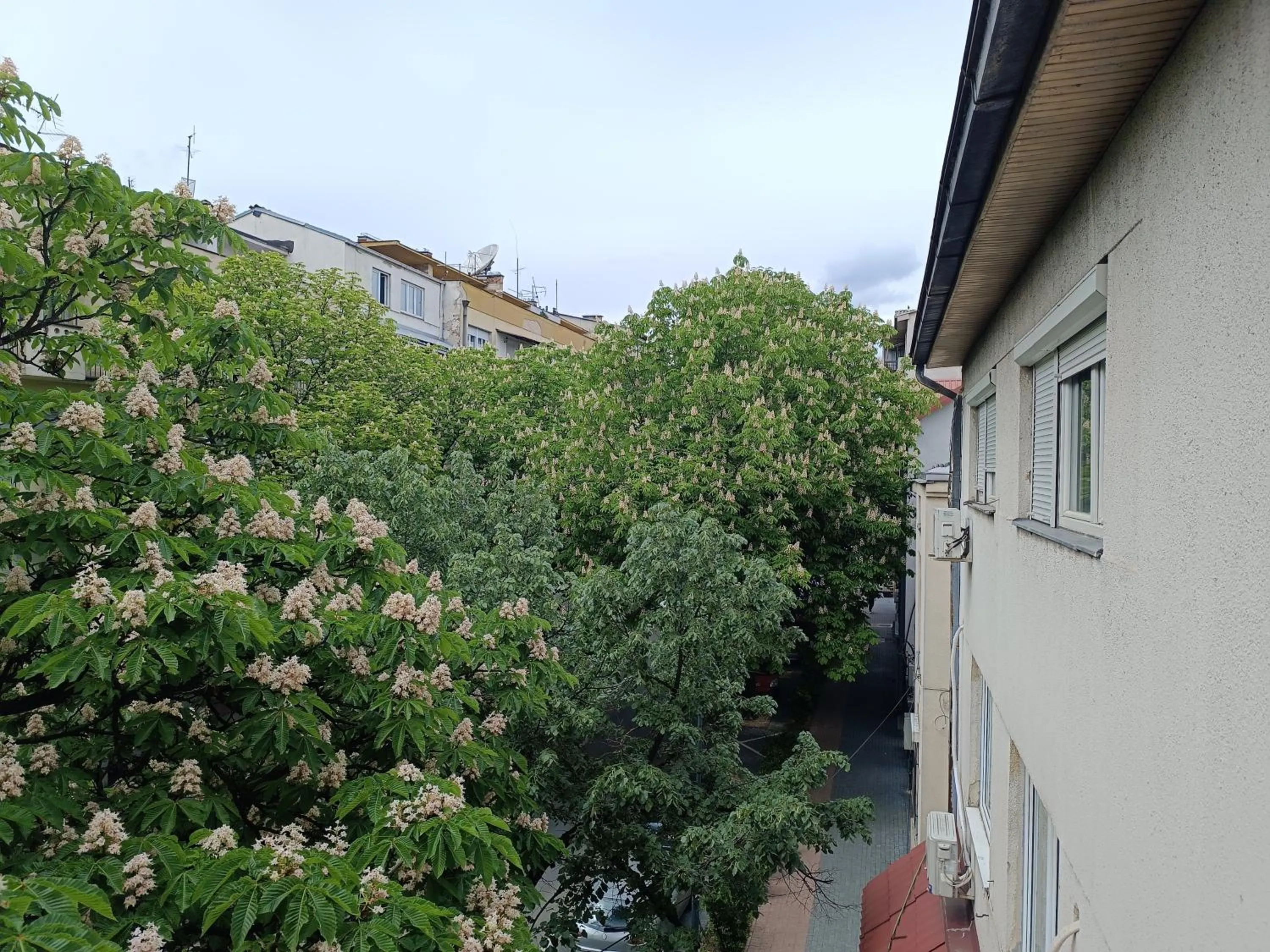 Property building in Mlin Balkan Rooms