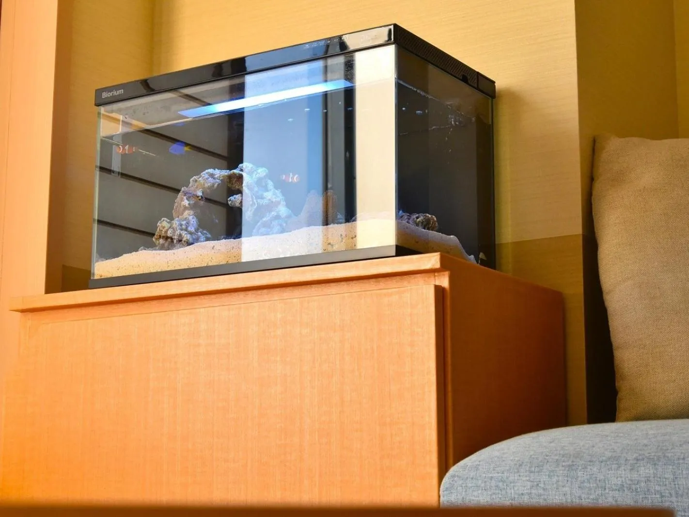 Bayside Hotel Azur Takeshiba