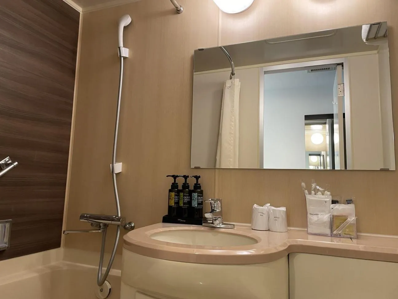 Shower in Bayside Hotel Azur Takeshiba