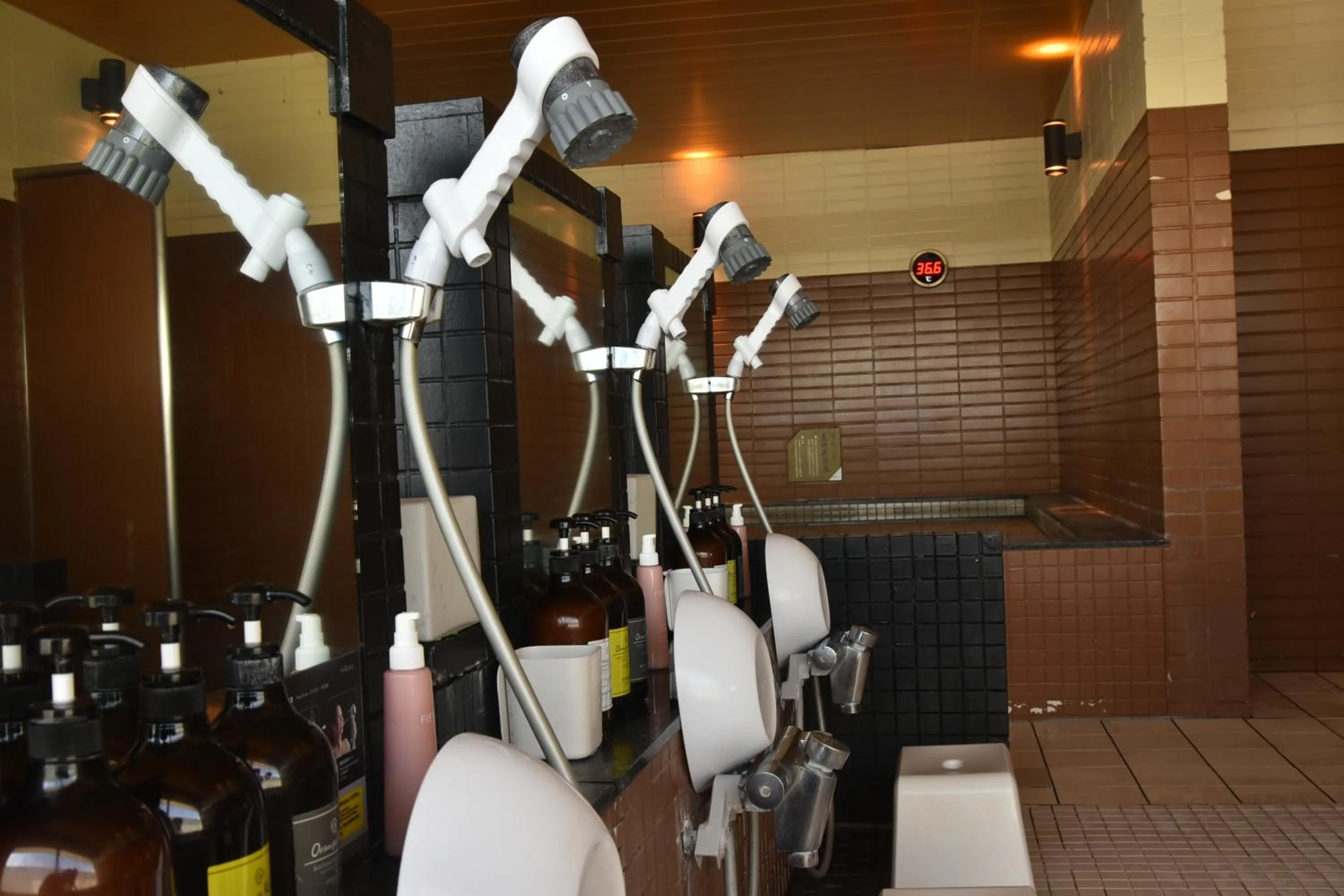 Shower in Bayside Hotel Azur Takeshiba