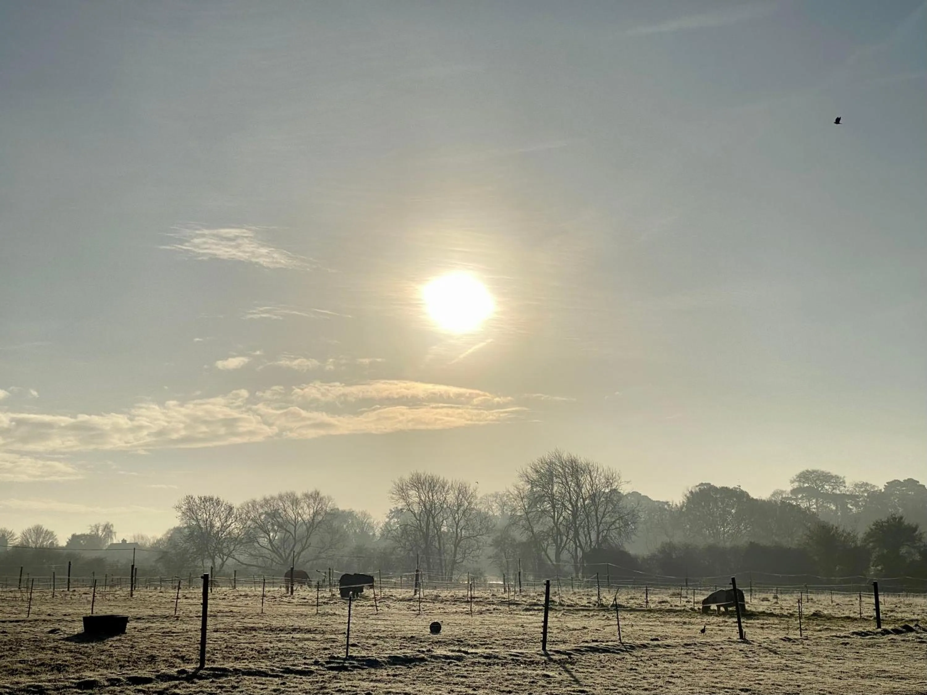 Natural landscape in Lut's Place