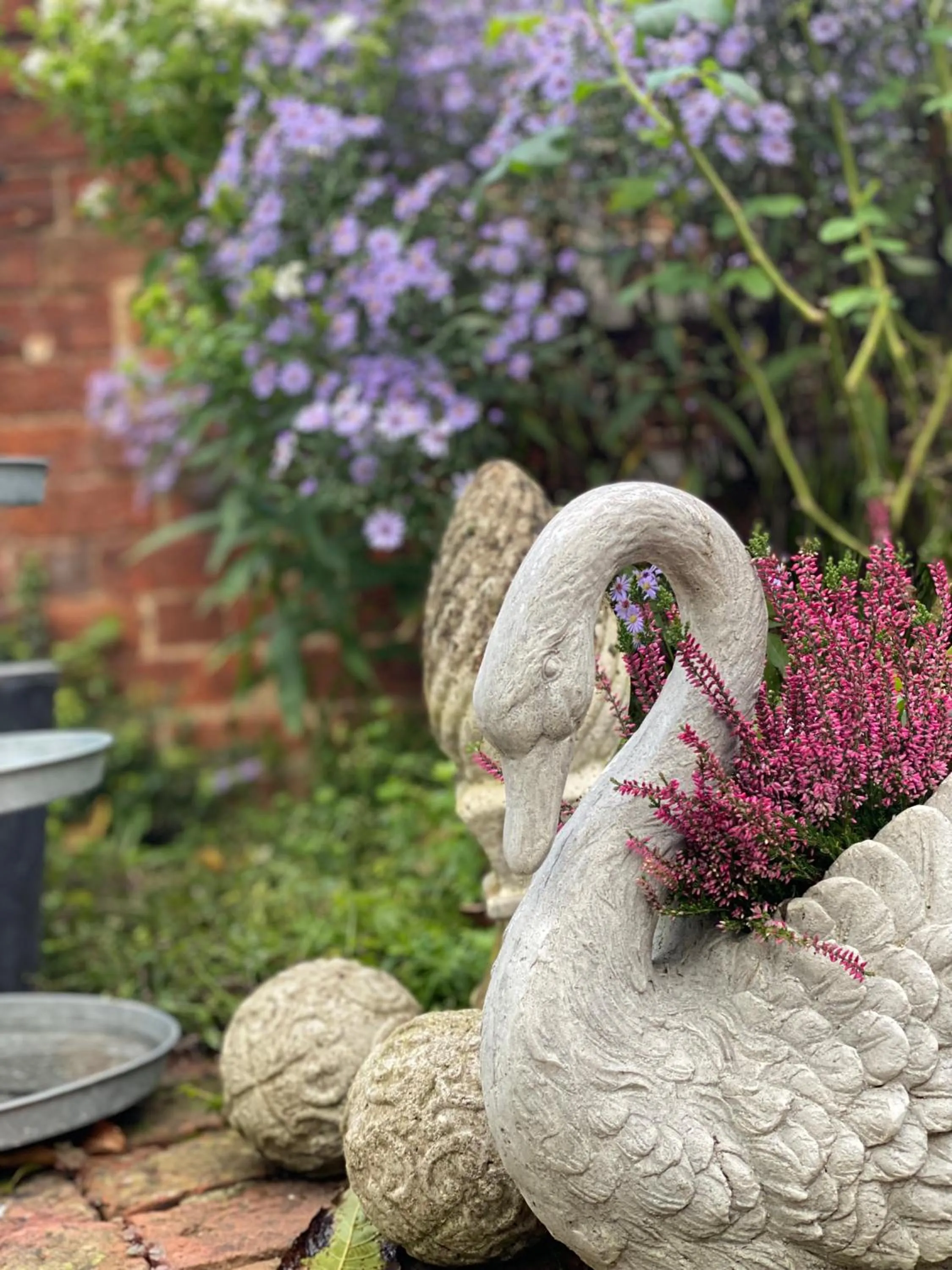 Garden in Lut's Place