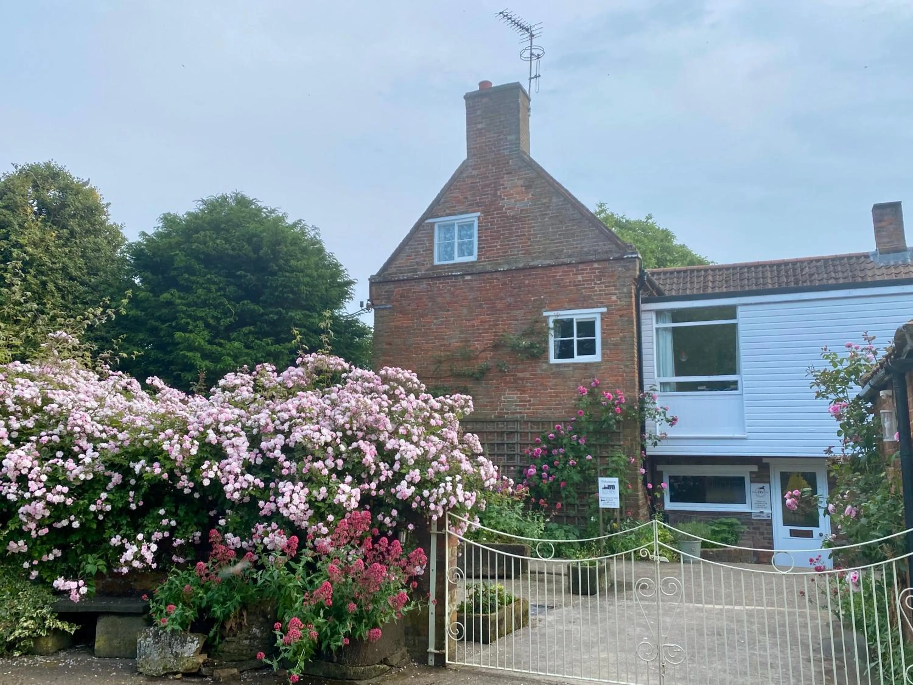 Property building in Lut's Place