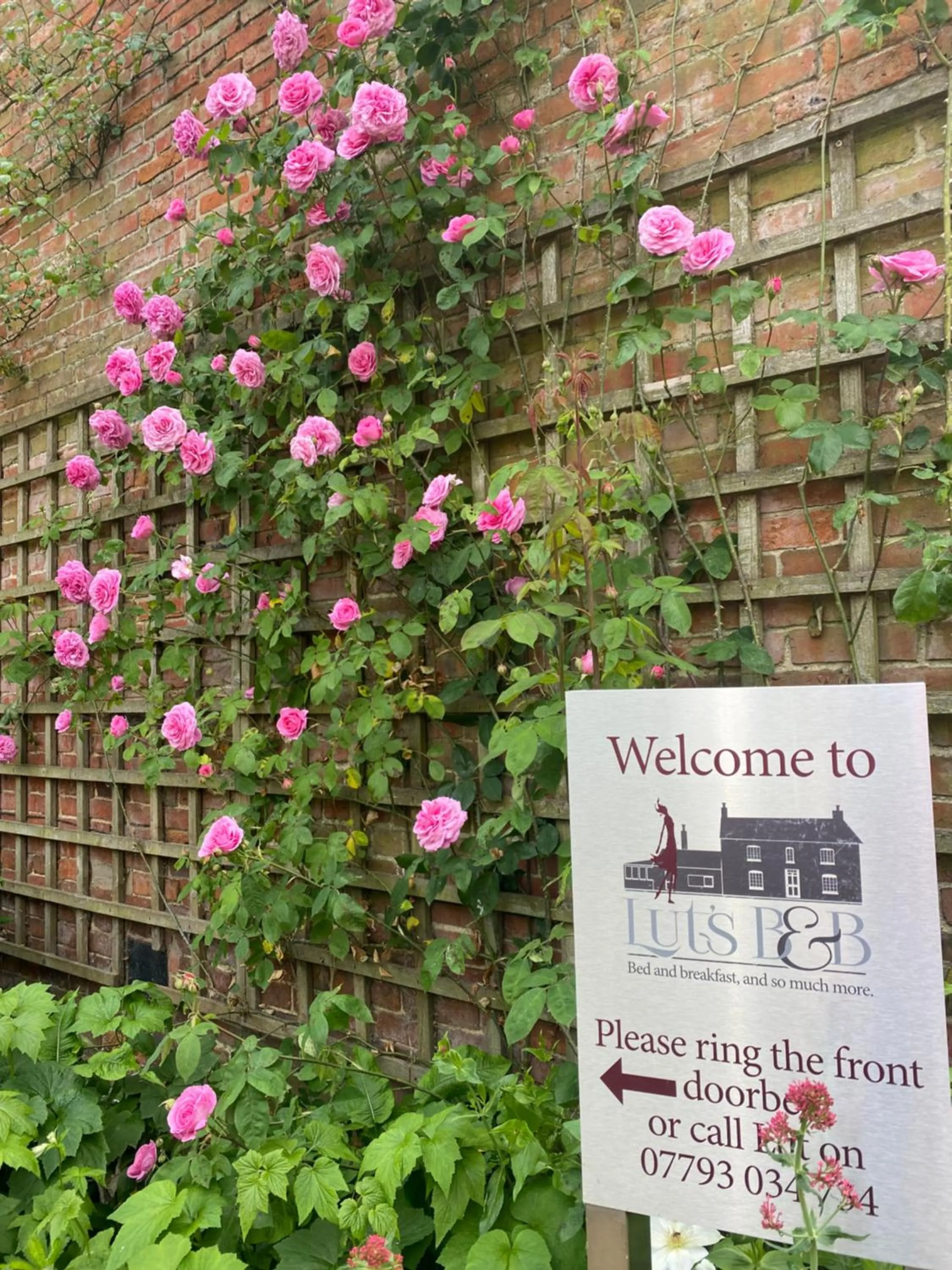 Property building in Lut's Place