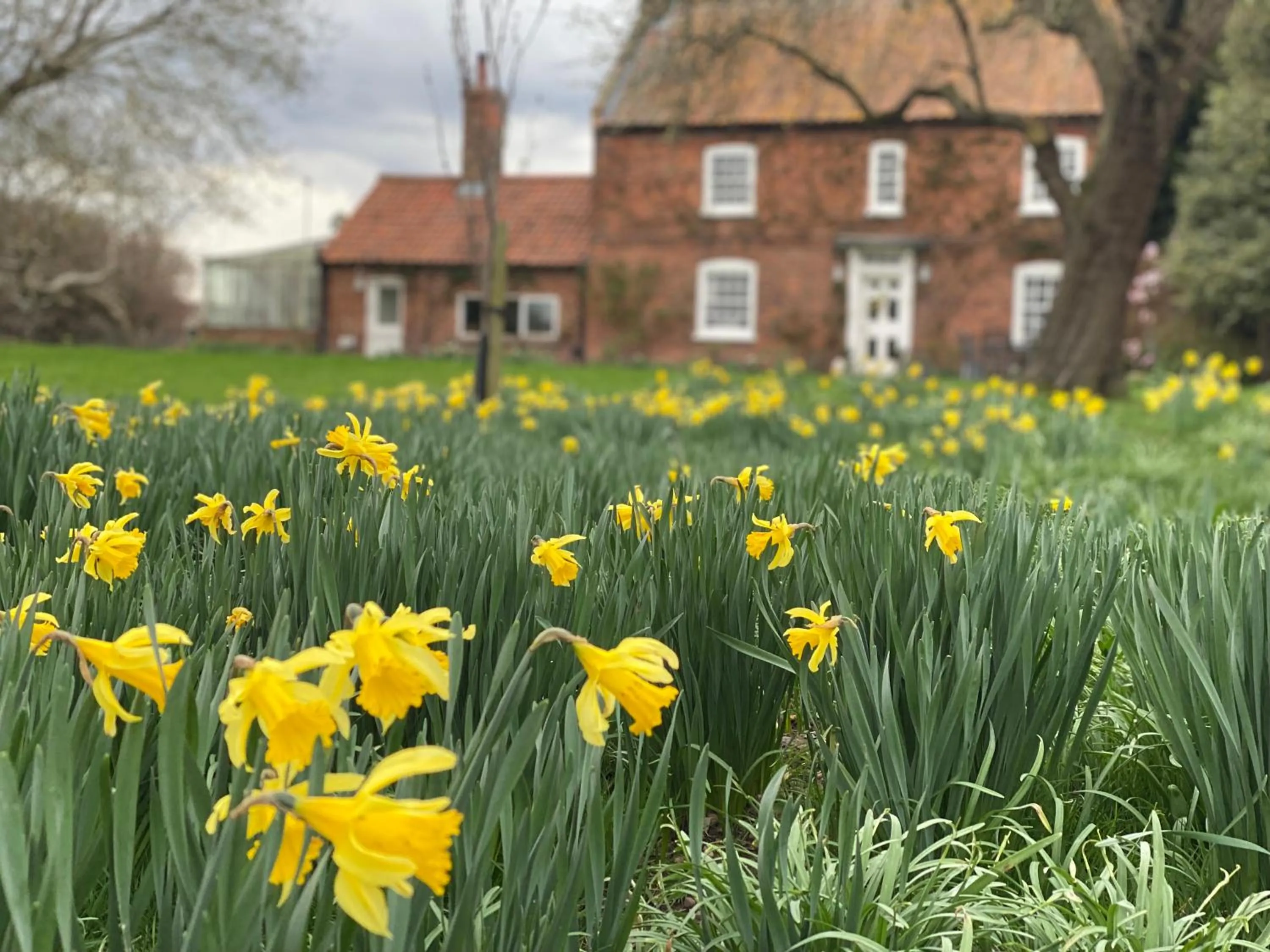 Spring in Lut's Place