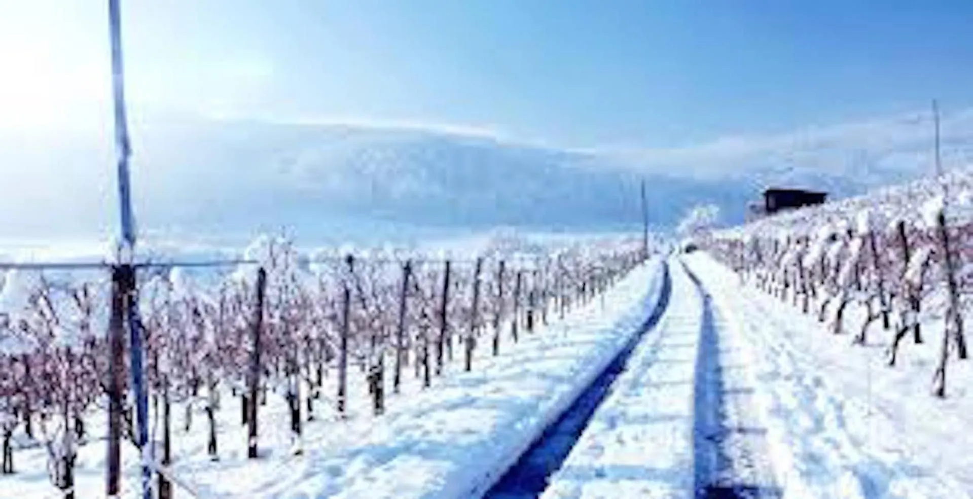 Day in B&B Perbacco Relax