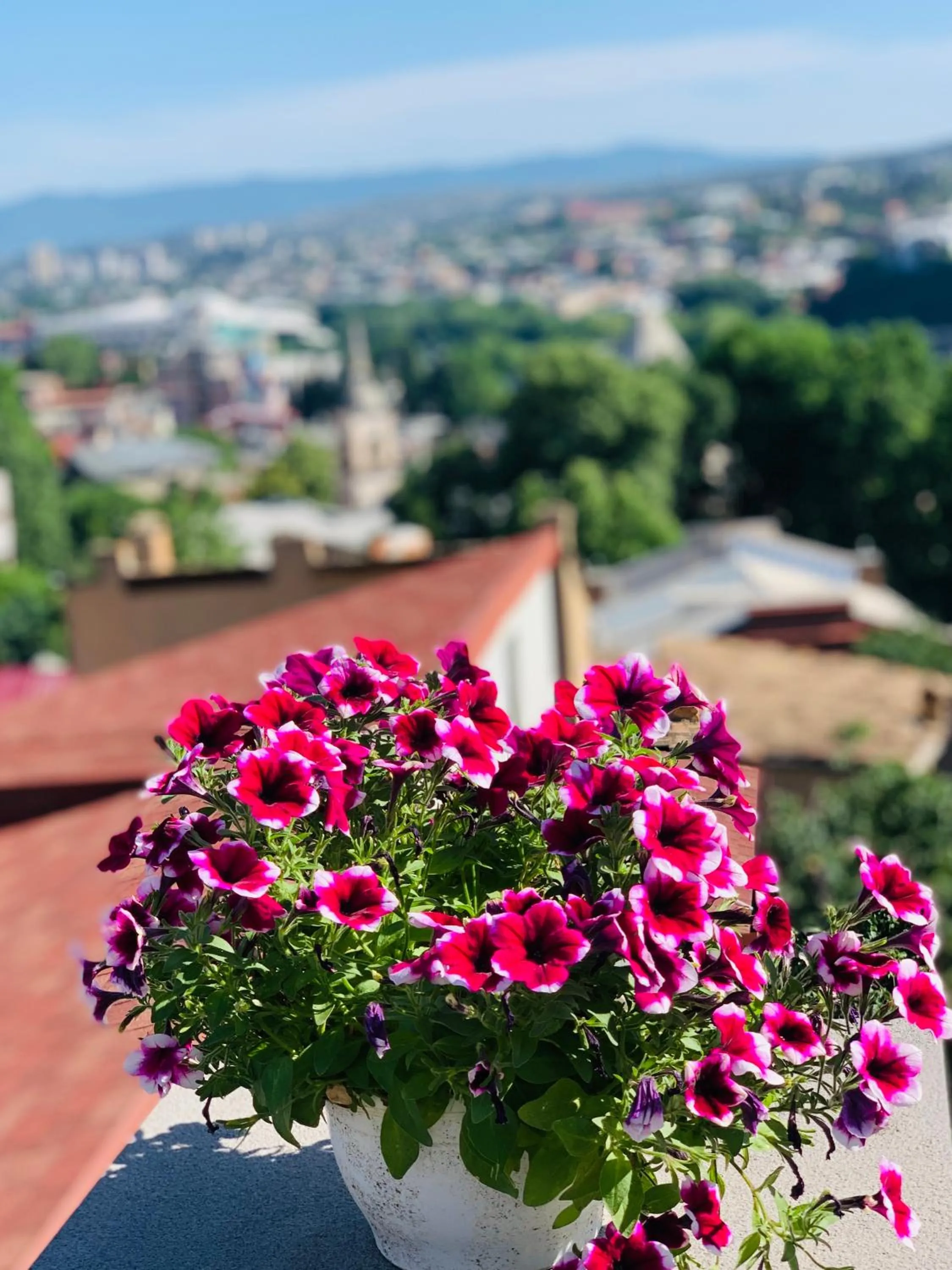 Balcony/Terrace in Betlemi Old Town Hotel