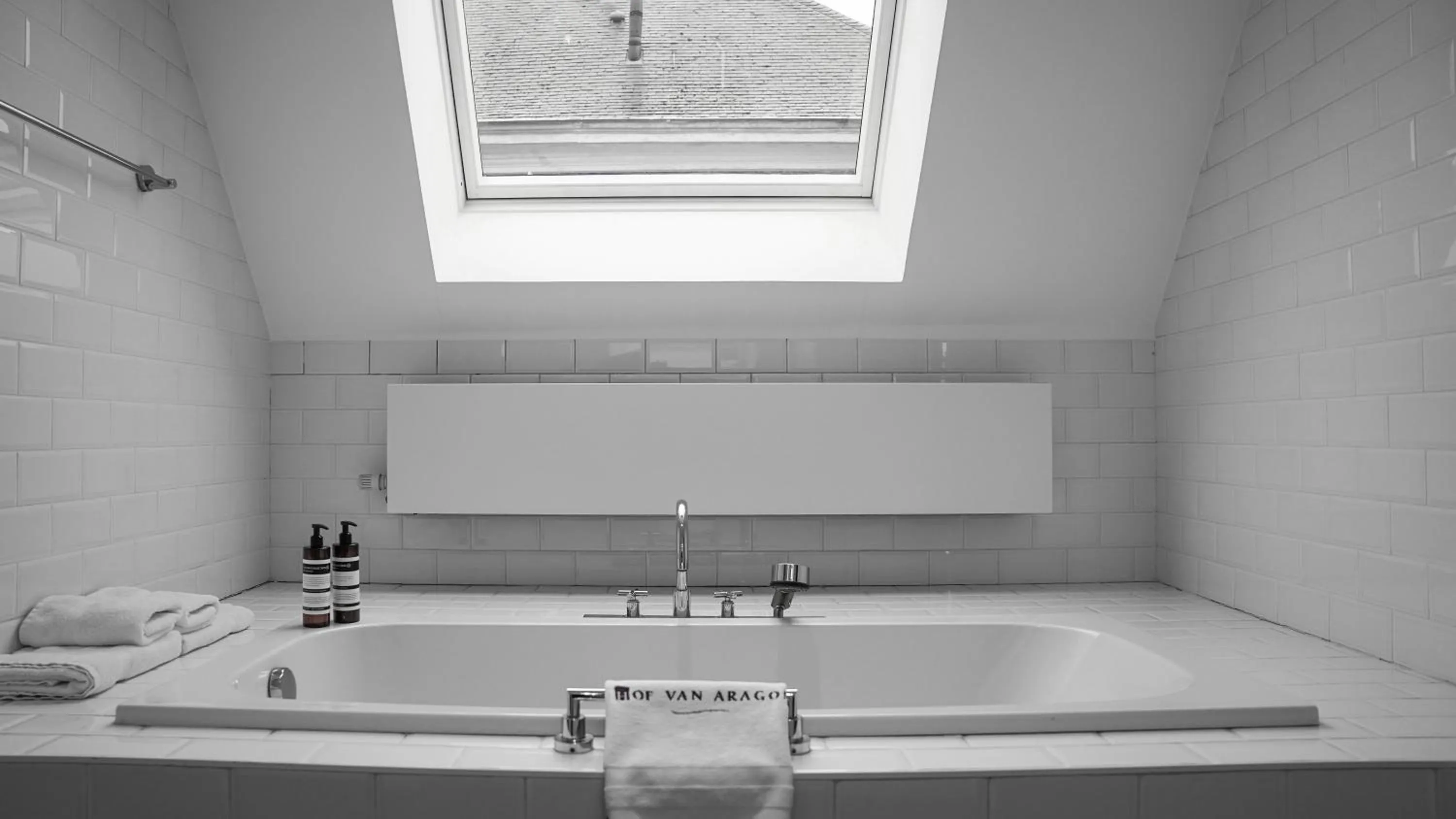 Shower in Hotel Hof van Aragon