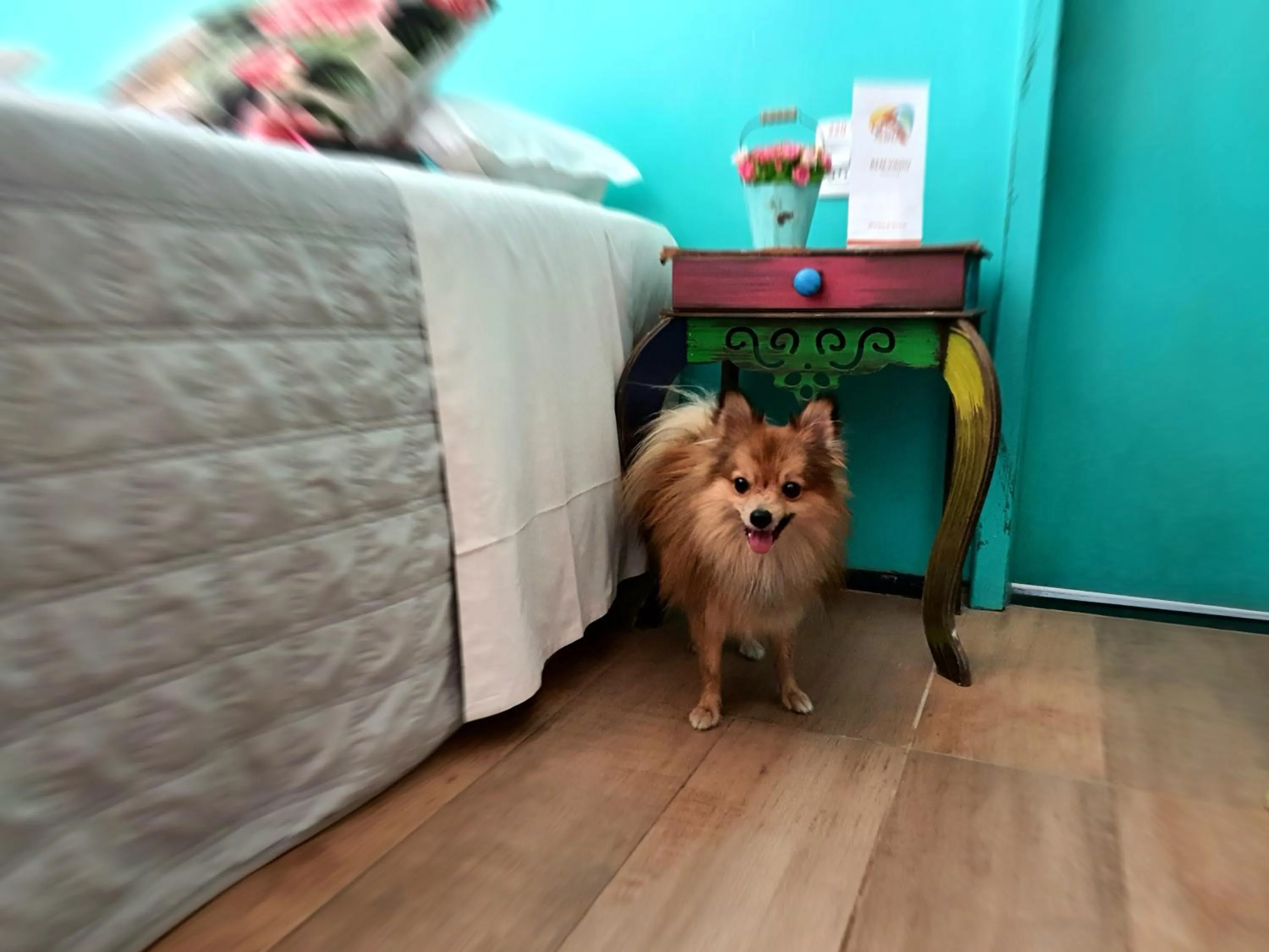 Photo of the whole room in Hotel Santuário das Águias by Nobile