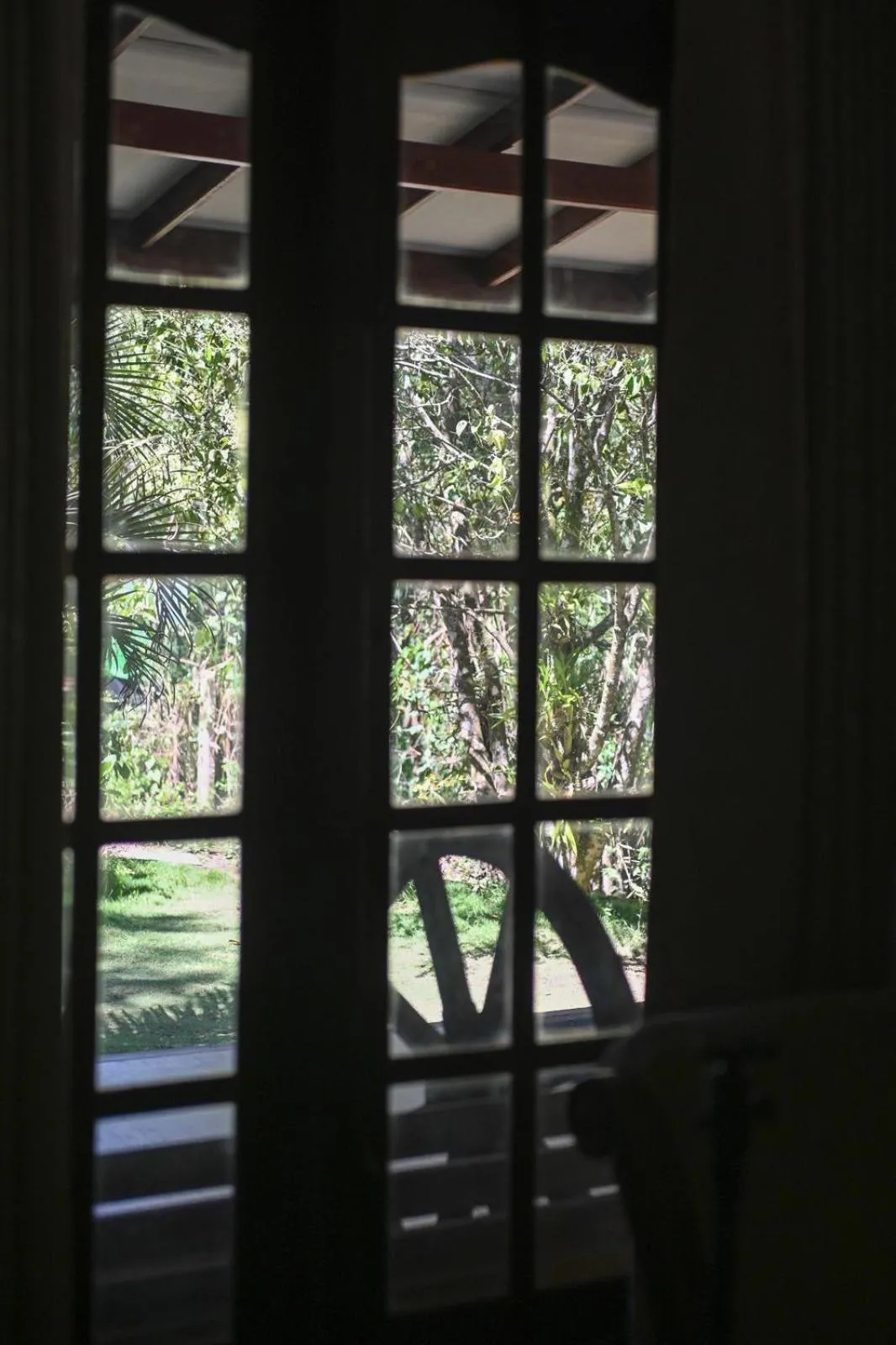 View (from property/room) in Lavender Homestay