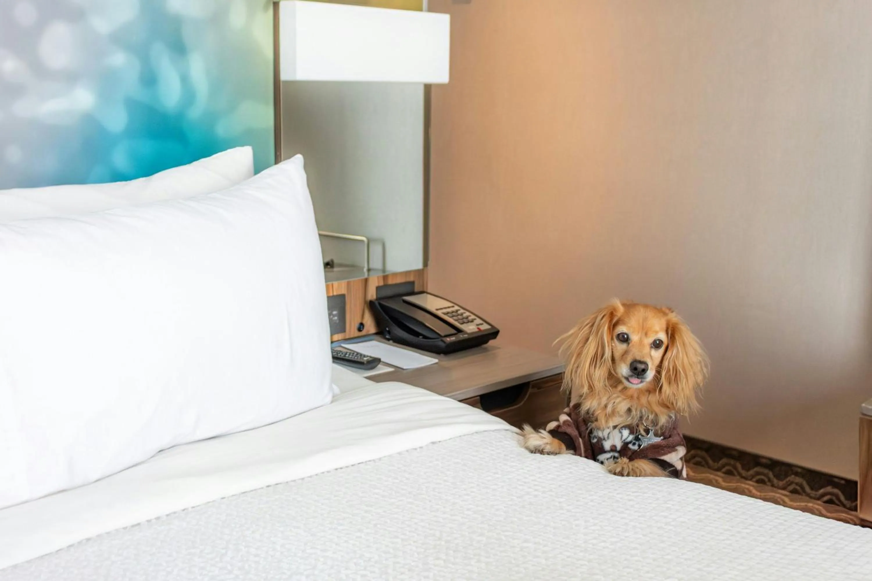 Other, Bed in Courtyard by Marriott Mexico City Vallejo