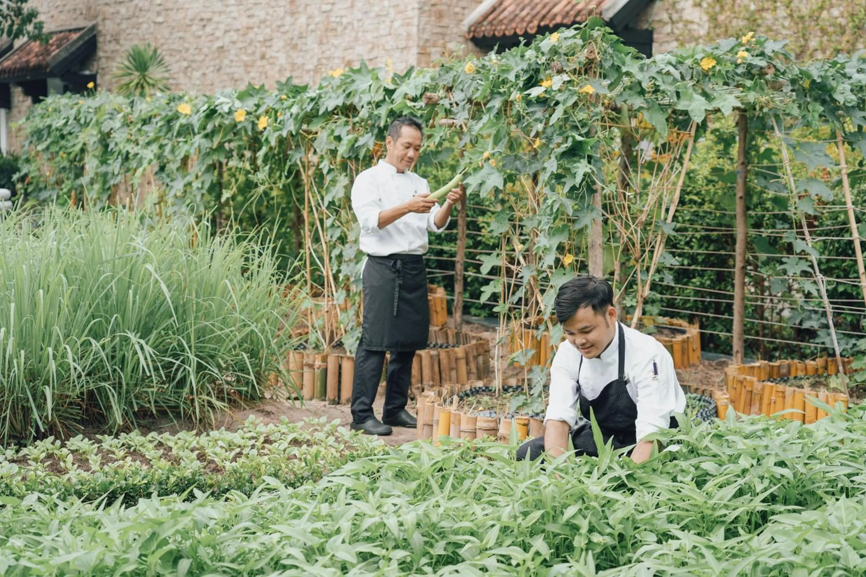 Other in JW Marriott Phu Quoc Emerald Bay Resort & Spa