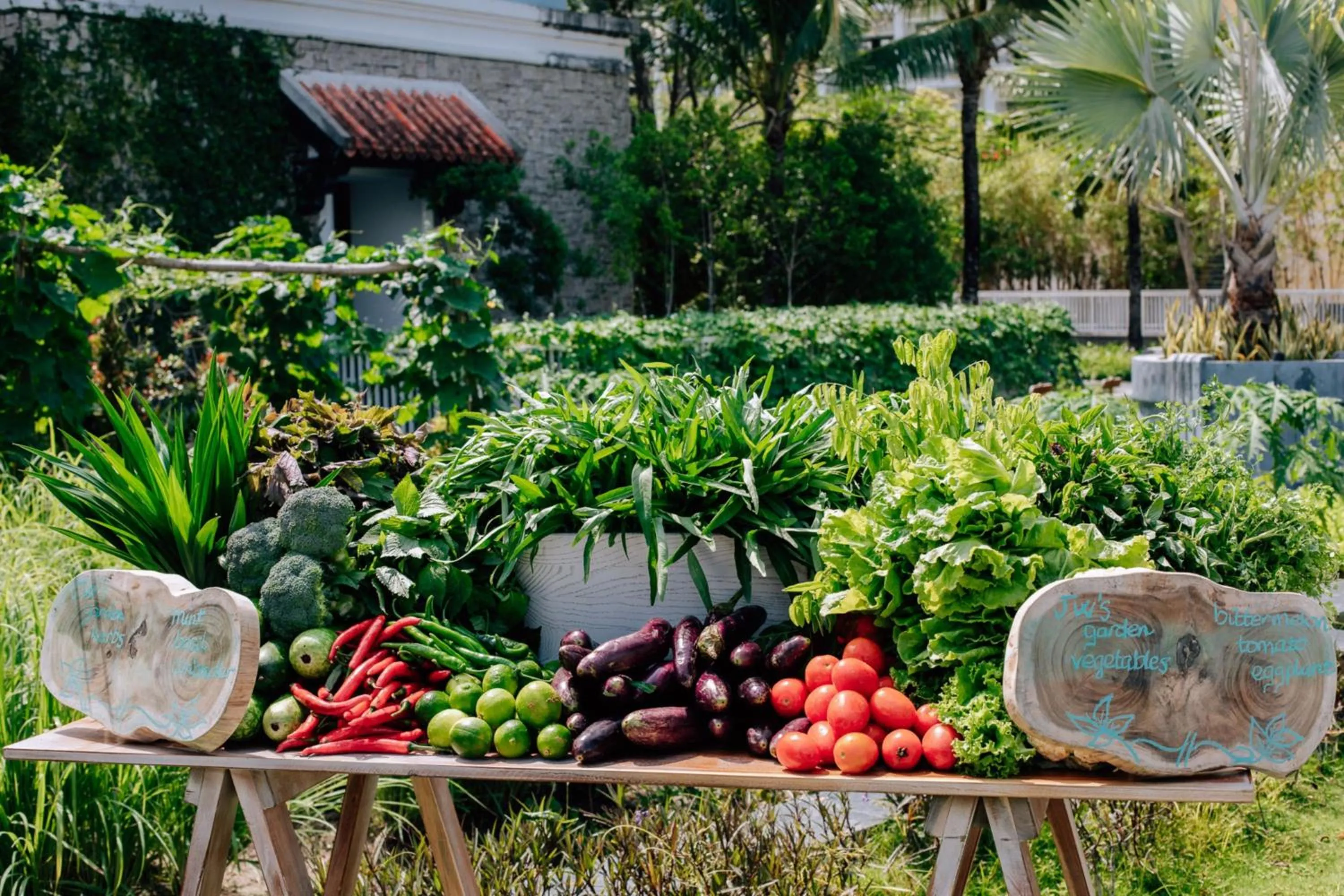 Other in JW Marriott Phu Quoc Emerald Bay Resort & Spa