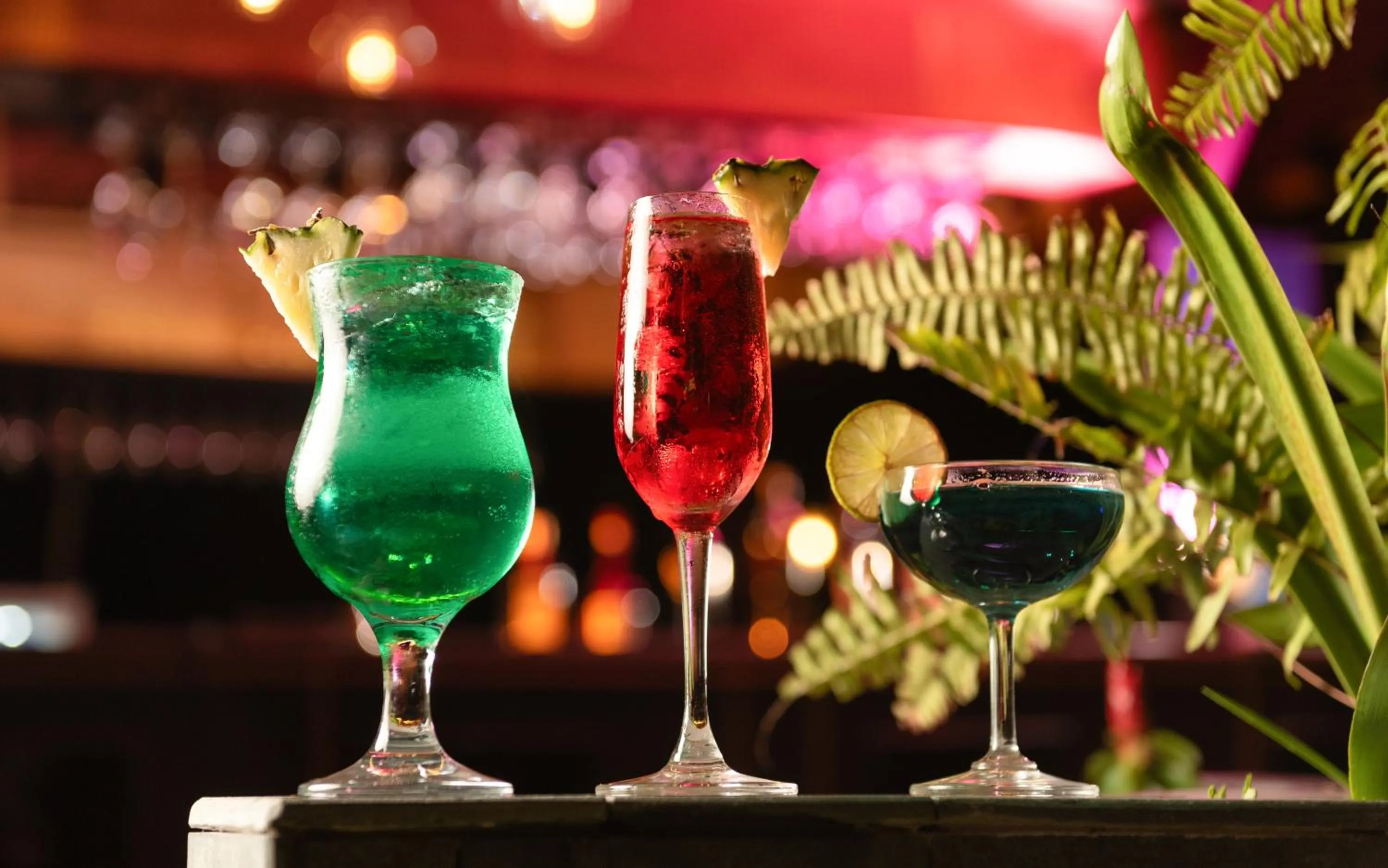 Lounge or bar in Indra Angkor Residence