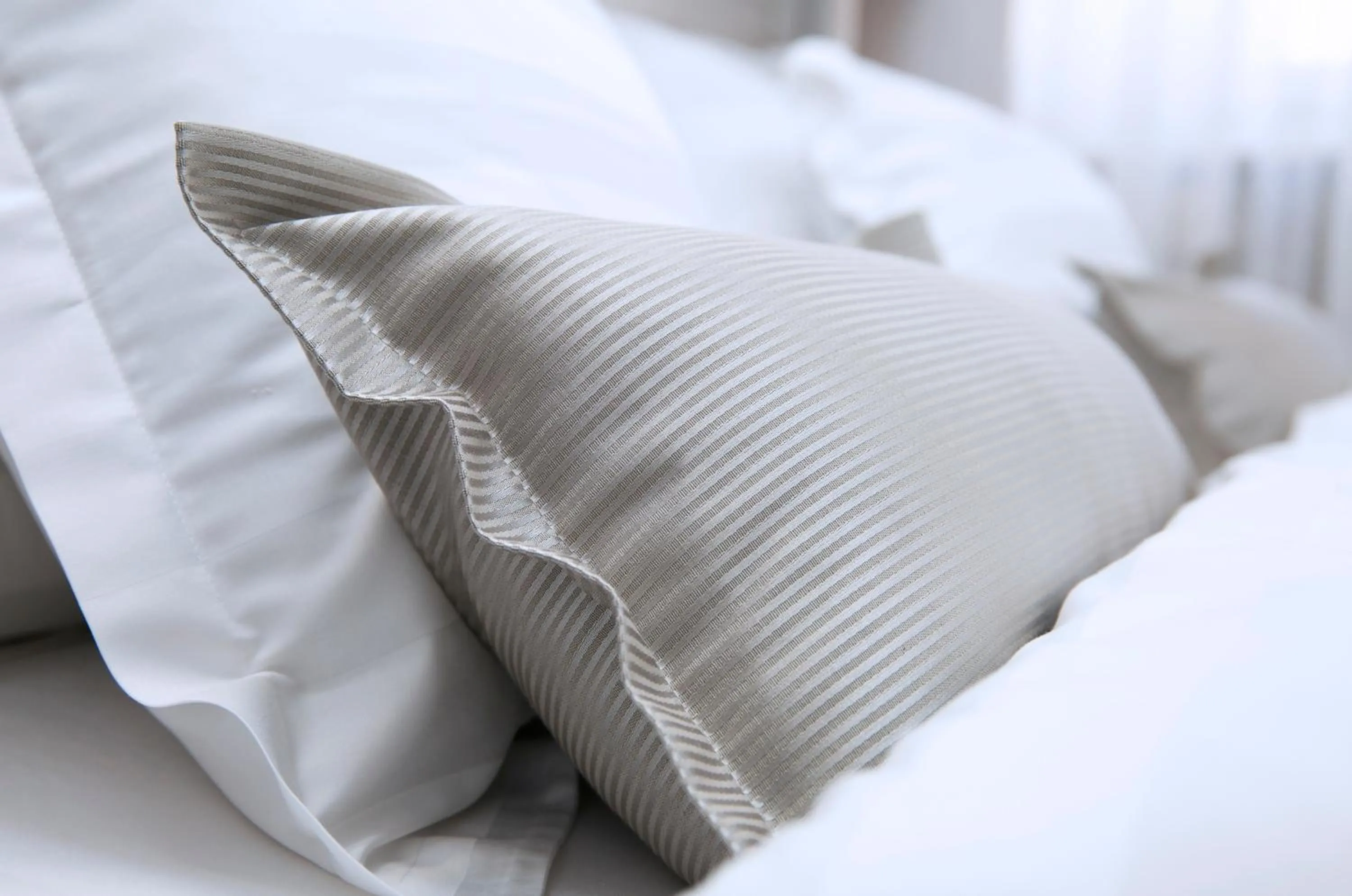 Villa Matejuska Heritage