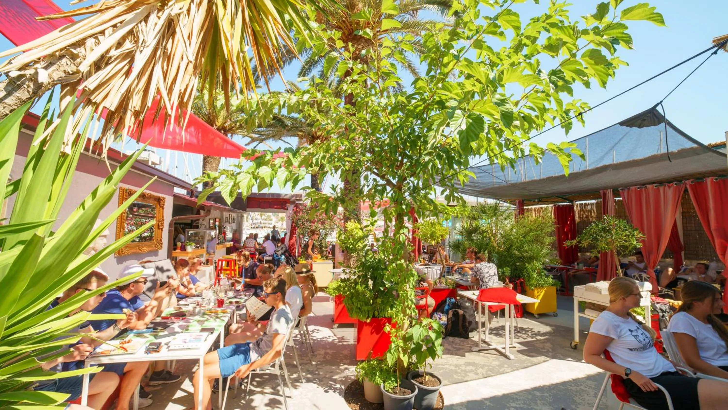 Restaurant/places to eat in Domus Maritima