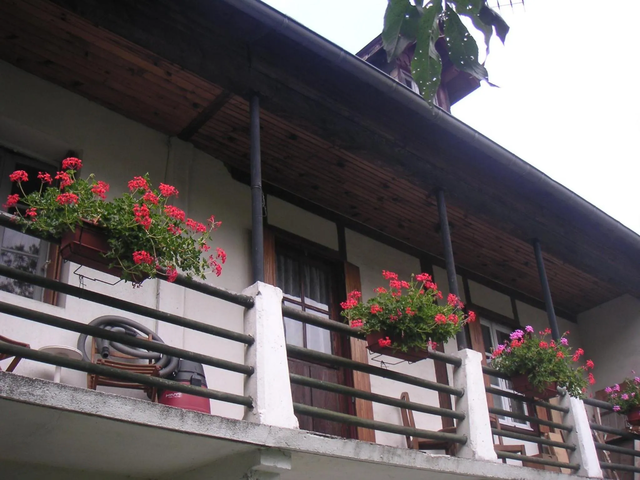 Bird's eye view in Maison Lacoste