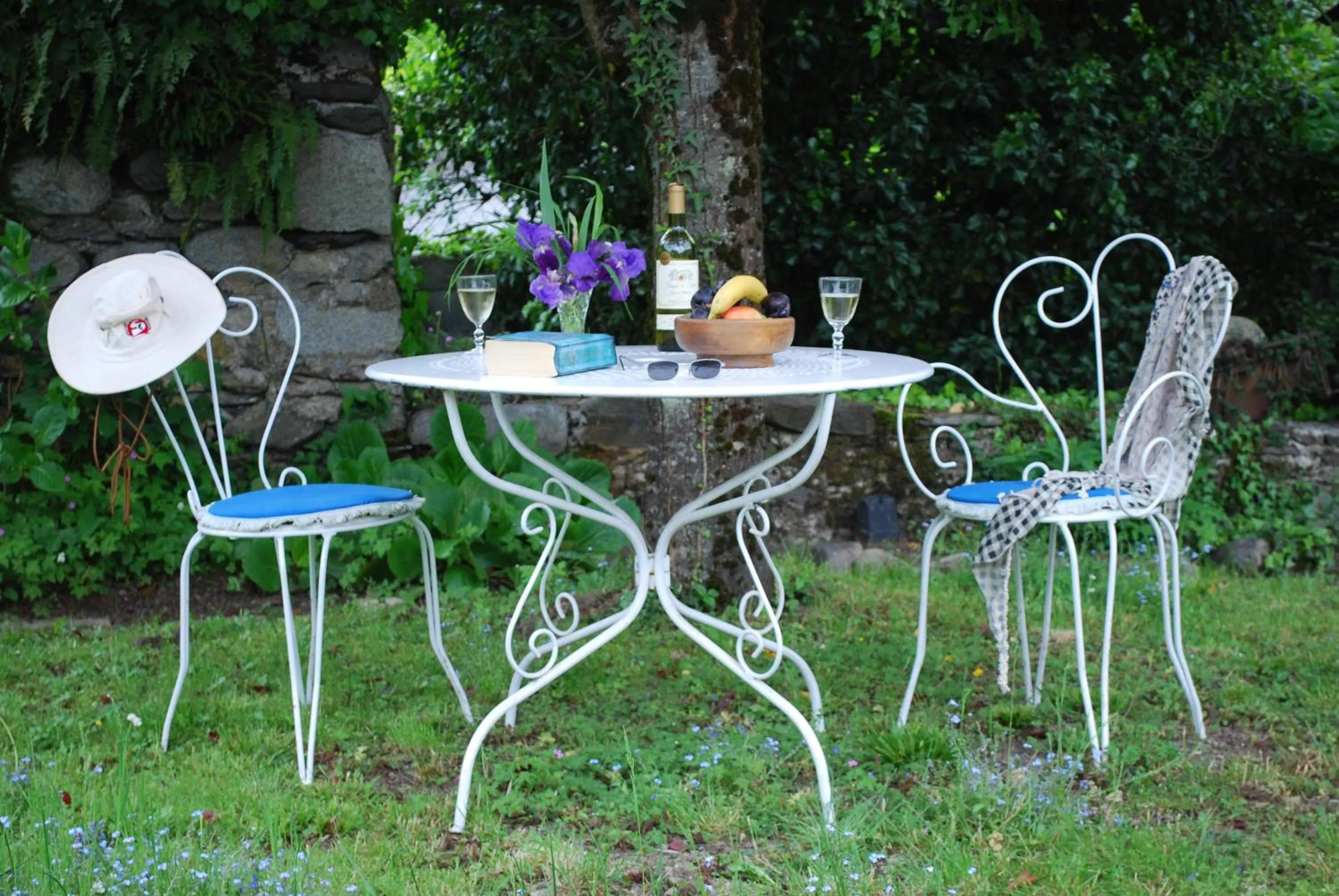 Garden in Maison Lacoste