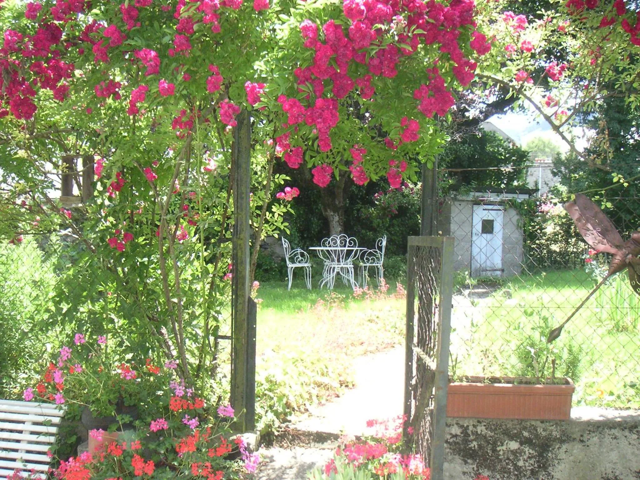Garden in Maison Lacoste