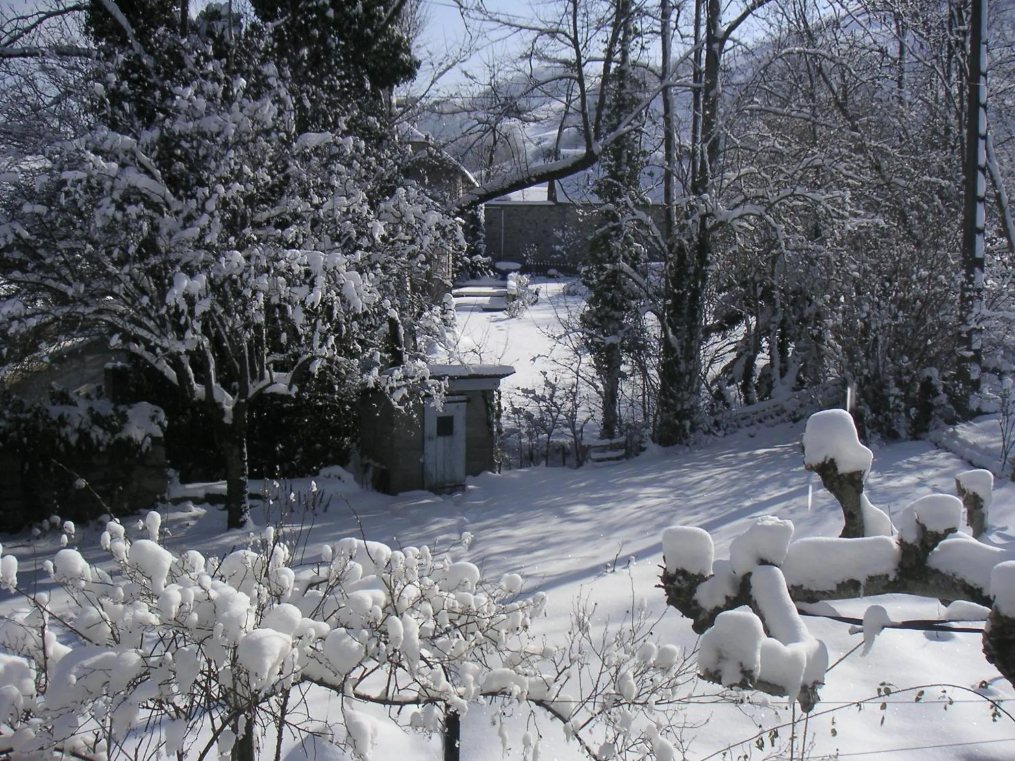 Garden in Maison Lacoste